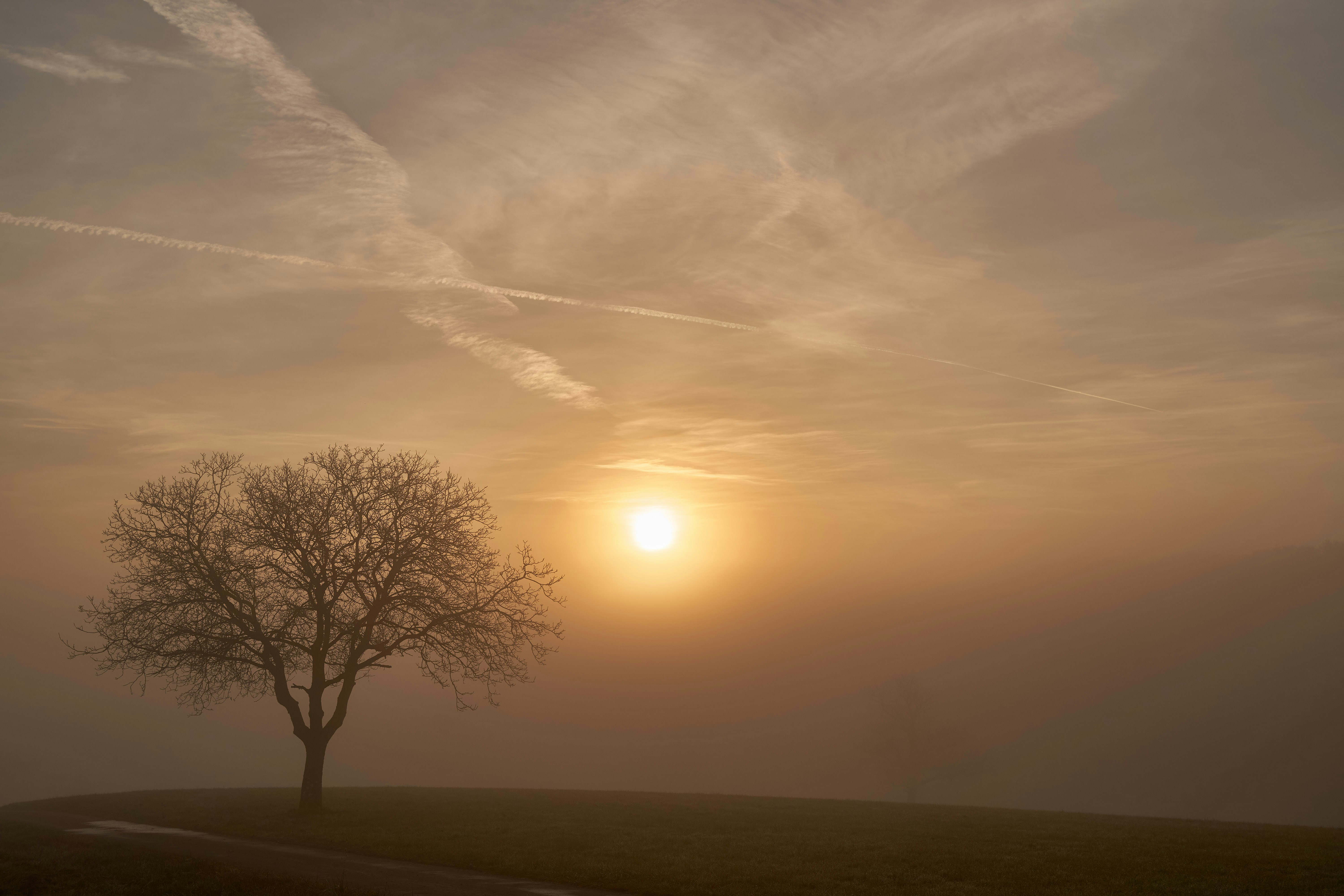 Photo by wolfgang_hasselmann