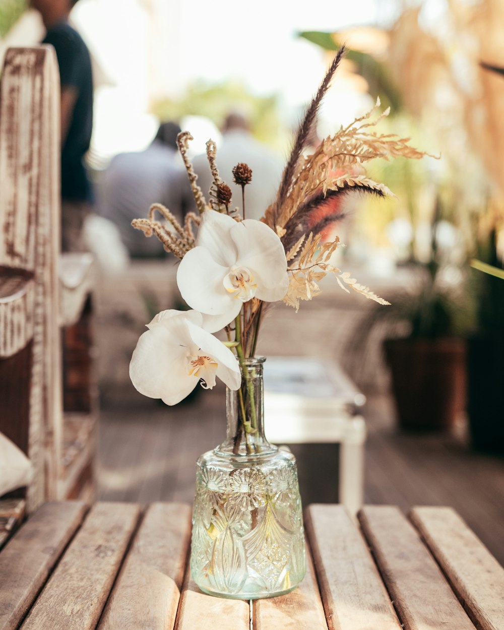 a vase with white flowers