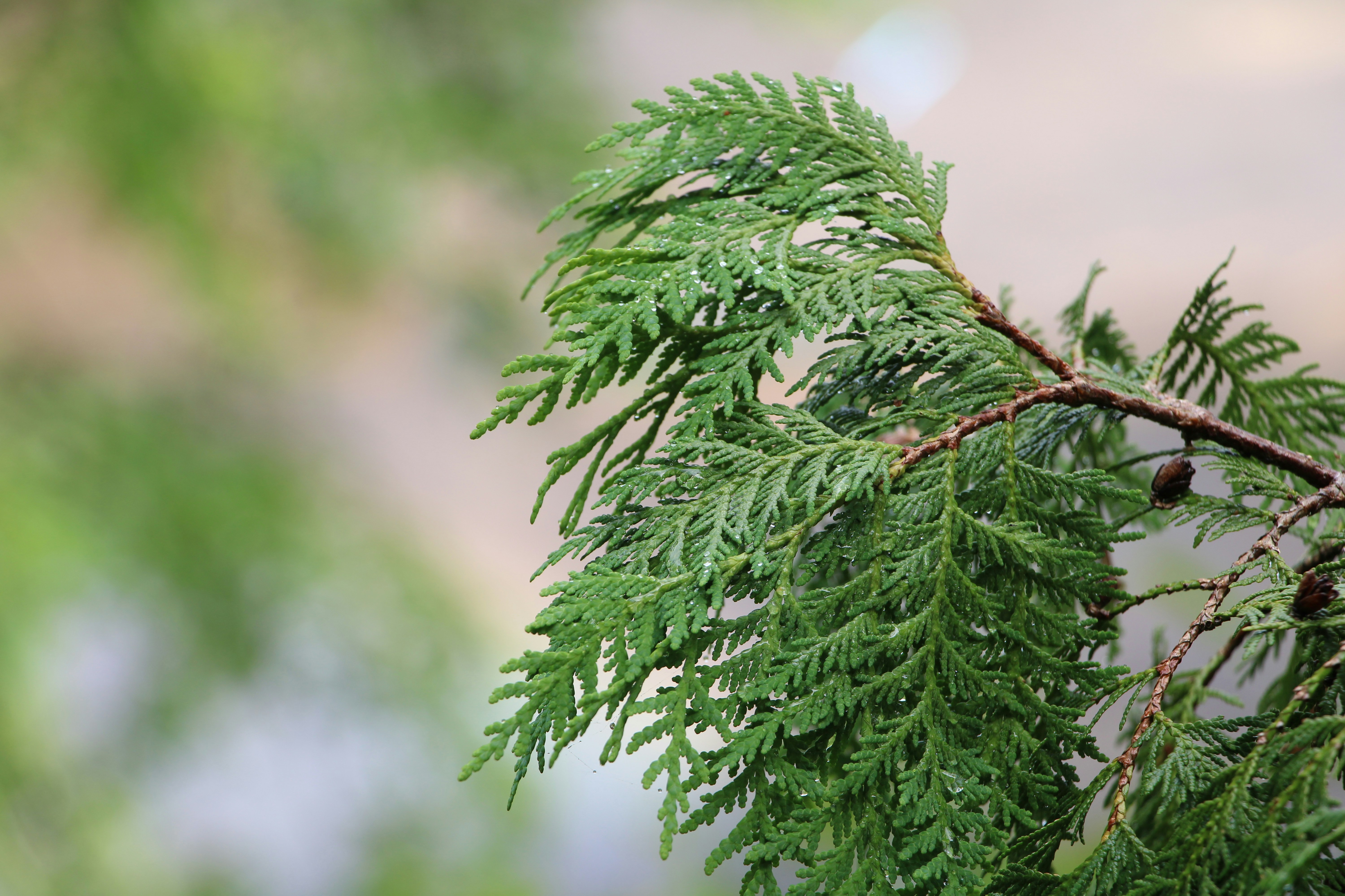 Photo by nobodynotjj