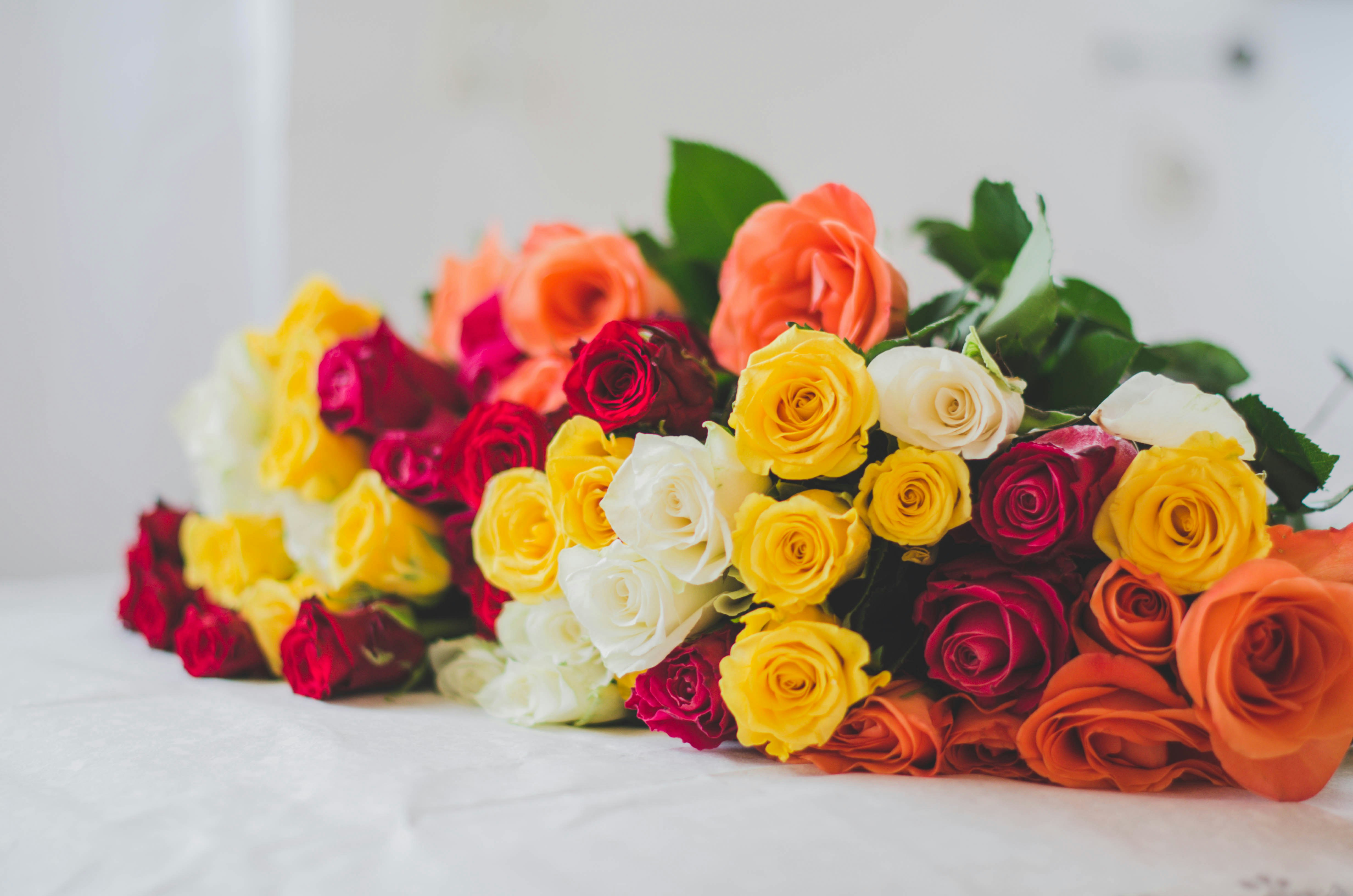 Photo by nika_benedictova