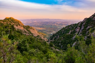 a landscape with trees and hills