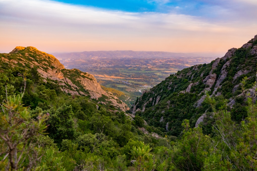 a landscape with trees and hills