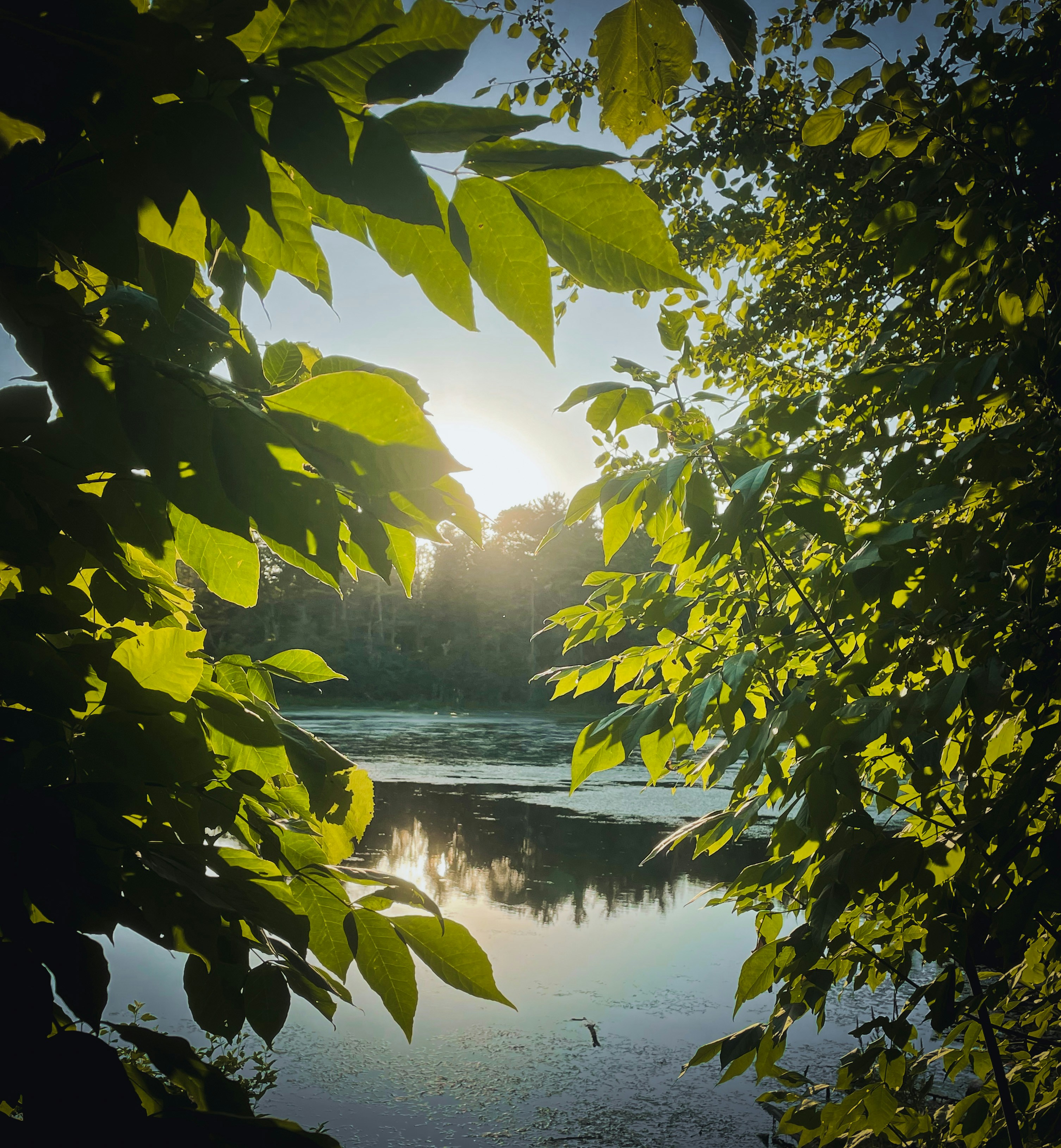 Photo by malharpatelphotography