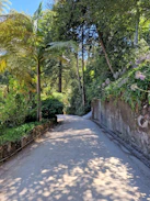 a path with trees on the side