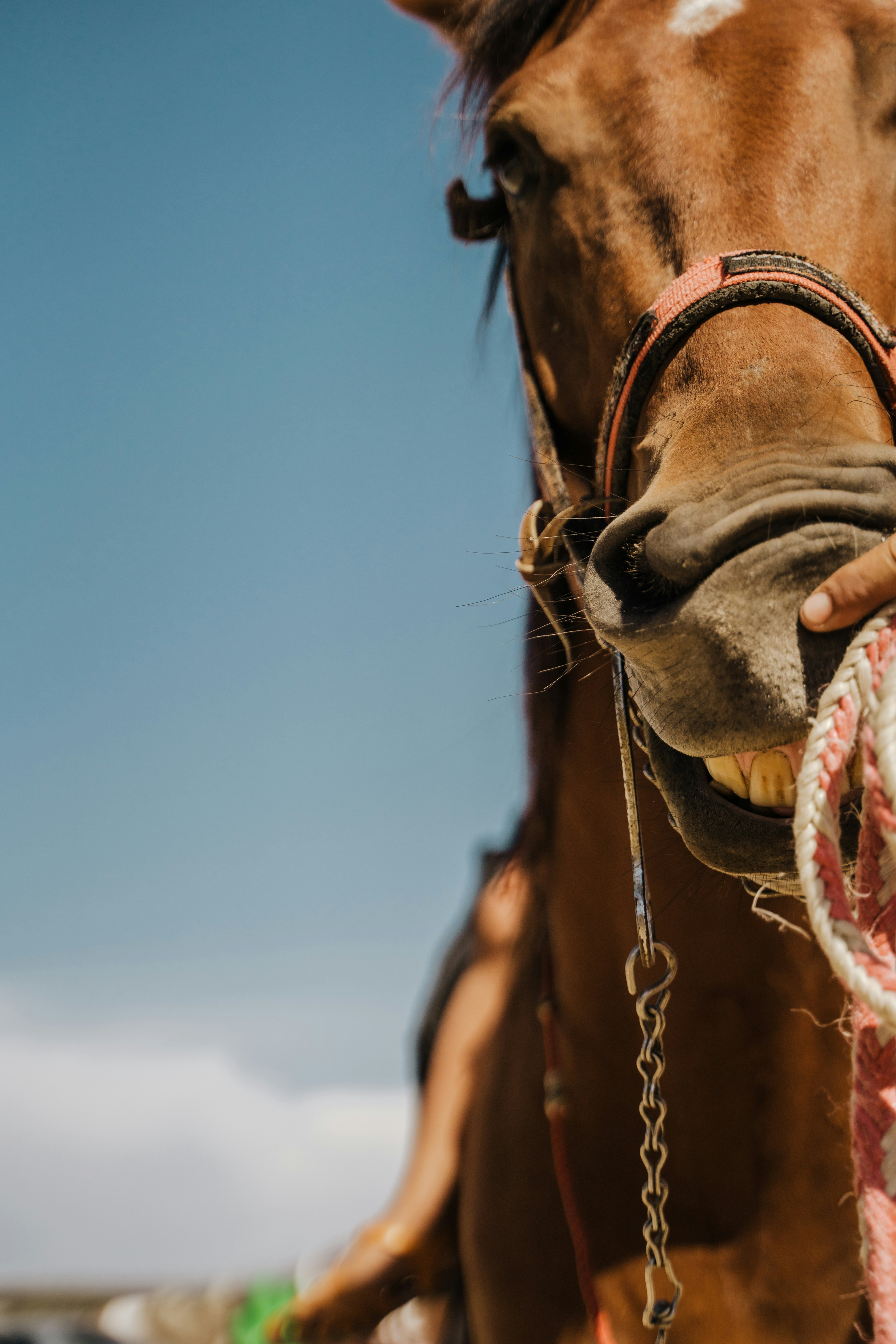 Photo by josuemichelphotography