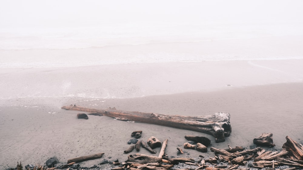 a large log on a beach