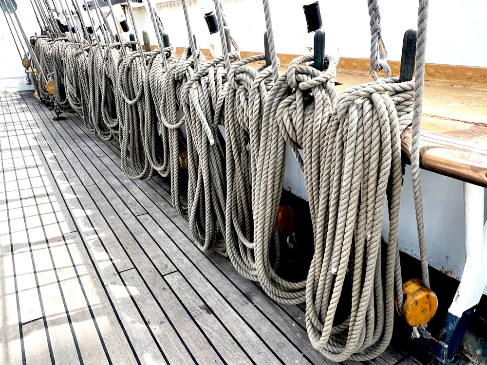 a large group of ropes