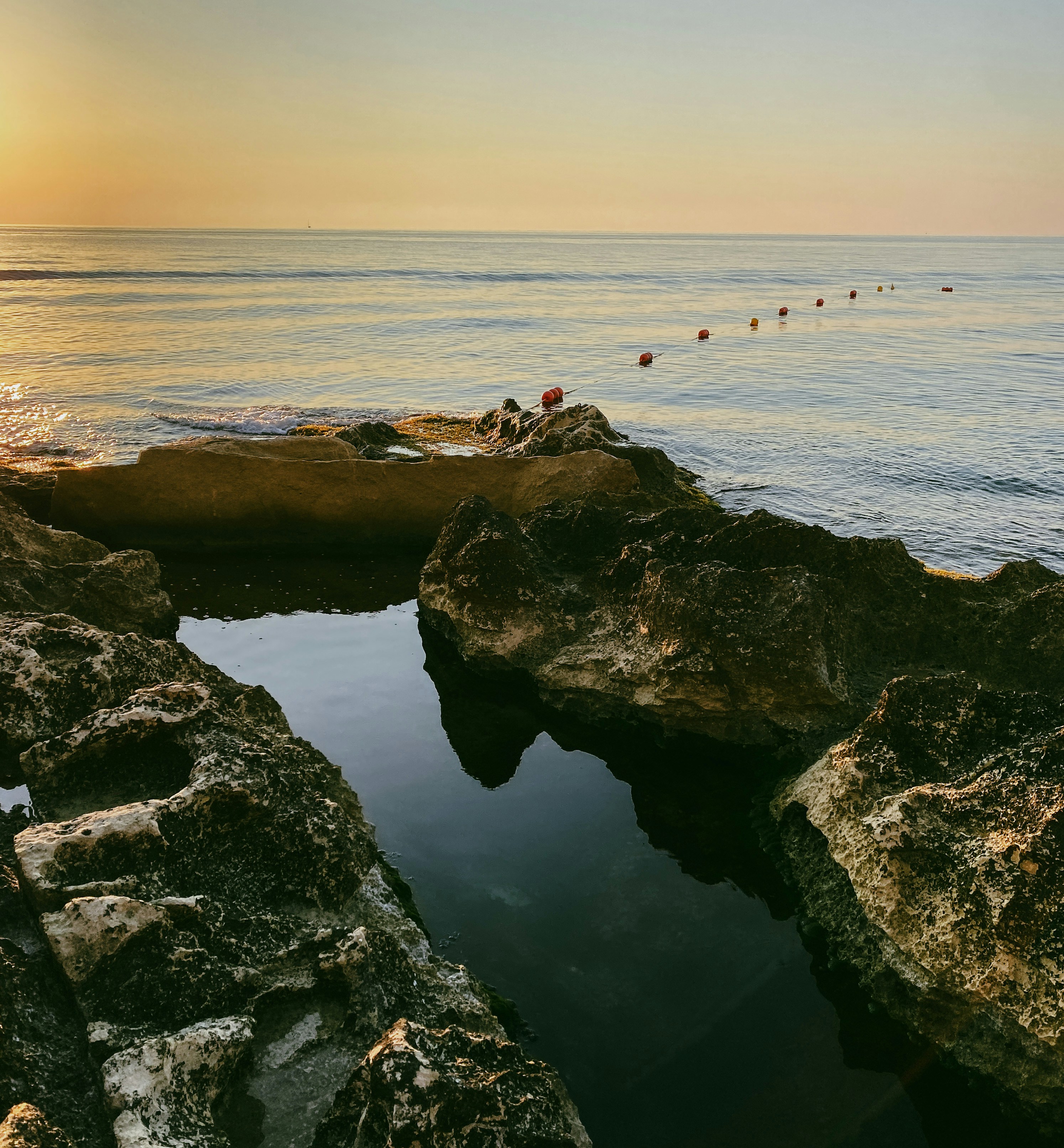 Photo by laurelsibanda