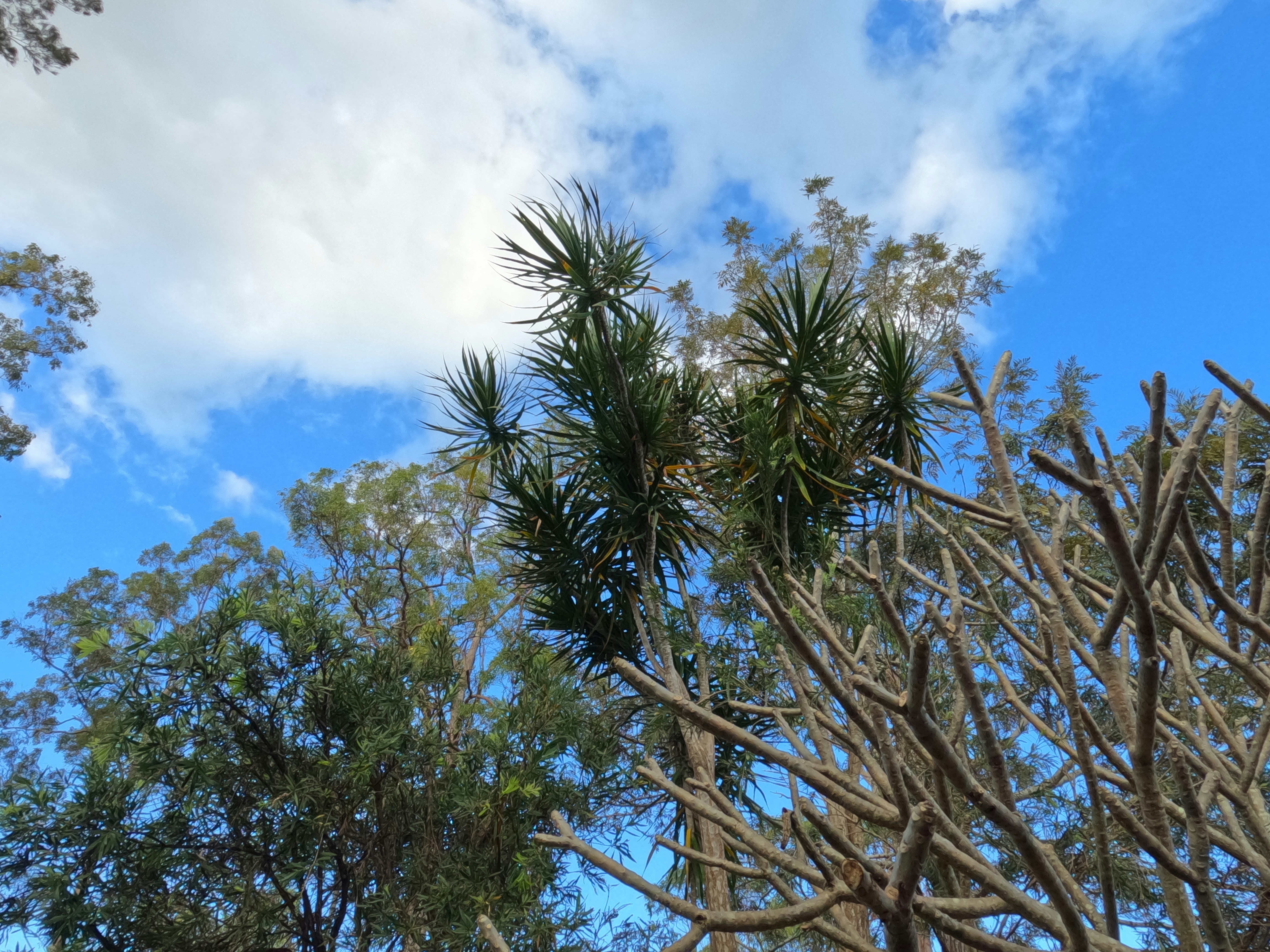 Photo by unsealmyname