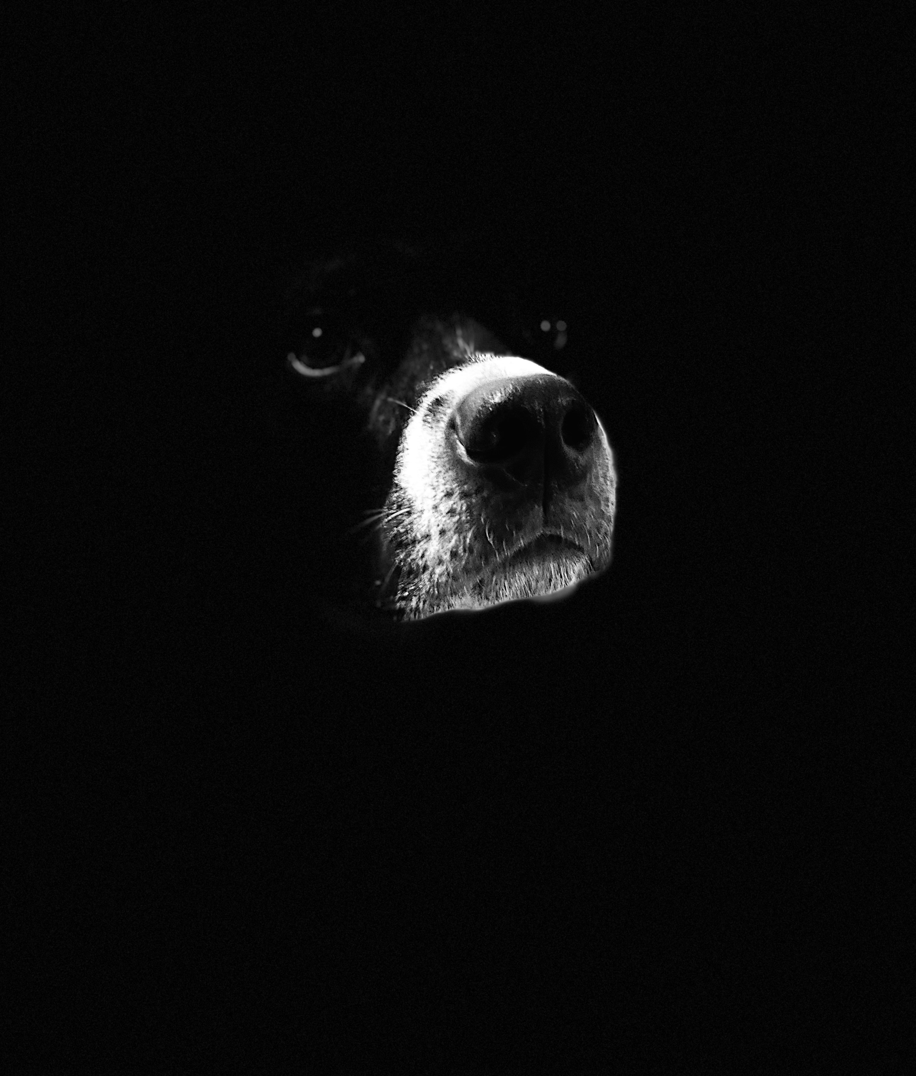 Photo by martingoodhouses