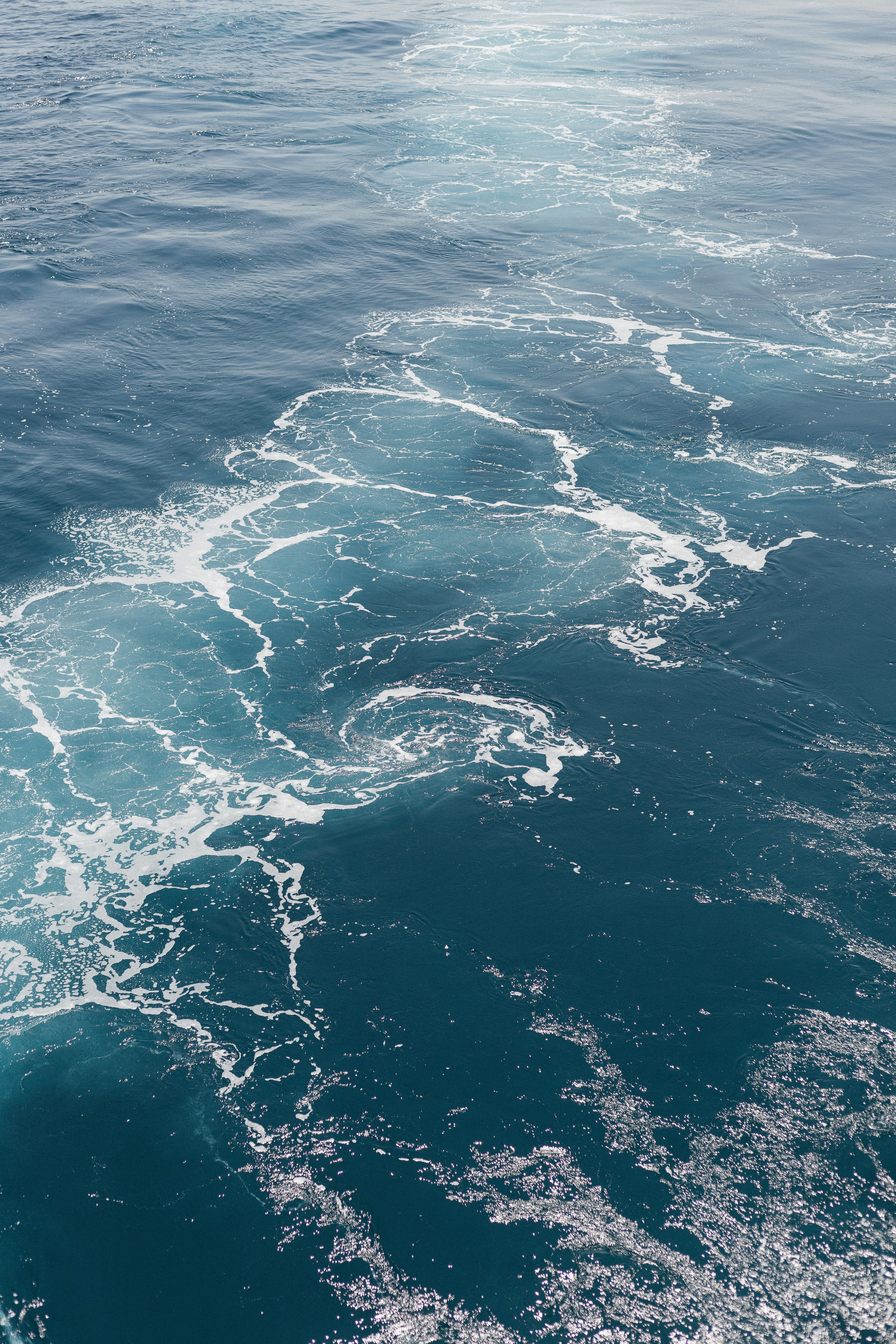 Photo by sugarfreenot