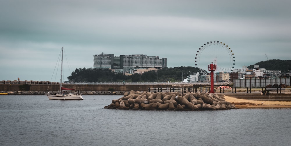 a body of water with a ferris wheel in the background