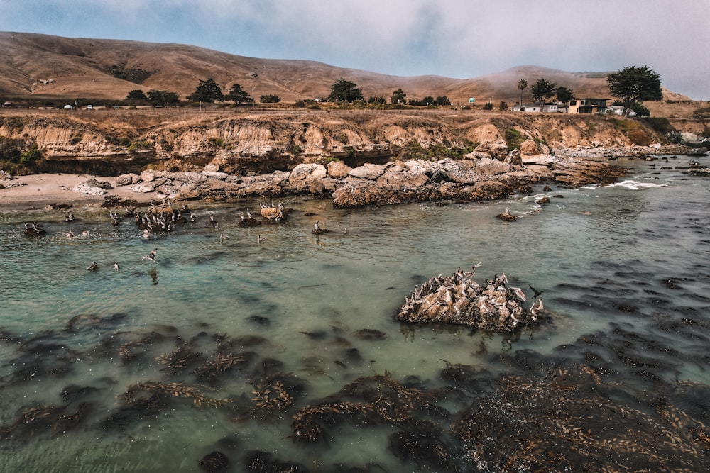 a body of water with rocks and a hill in the background