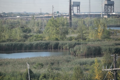 A scenic landscape featuring a large expanse of wetlands with dense vegetation, including tall grasses and trees. There is a body of water prominent in the foreground, with industrial structures and a bridge visible in the background. Power lines are also seen running through the scenery.