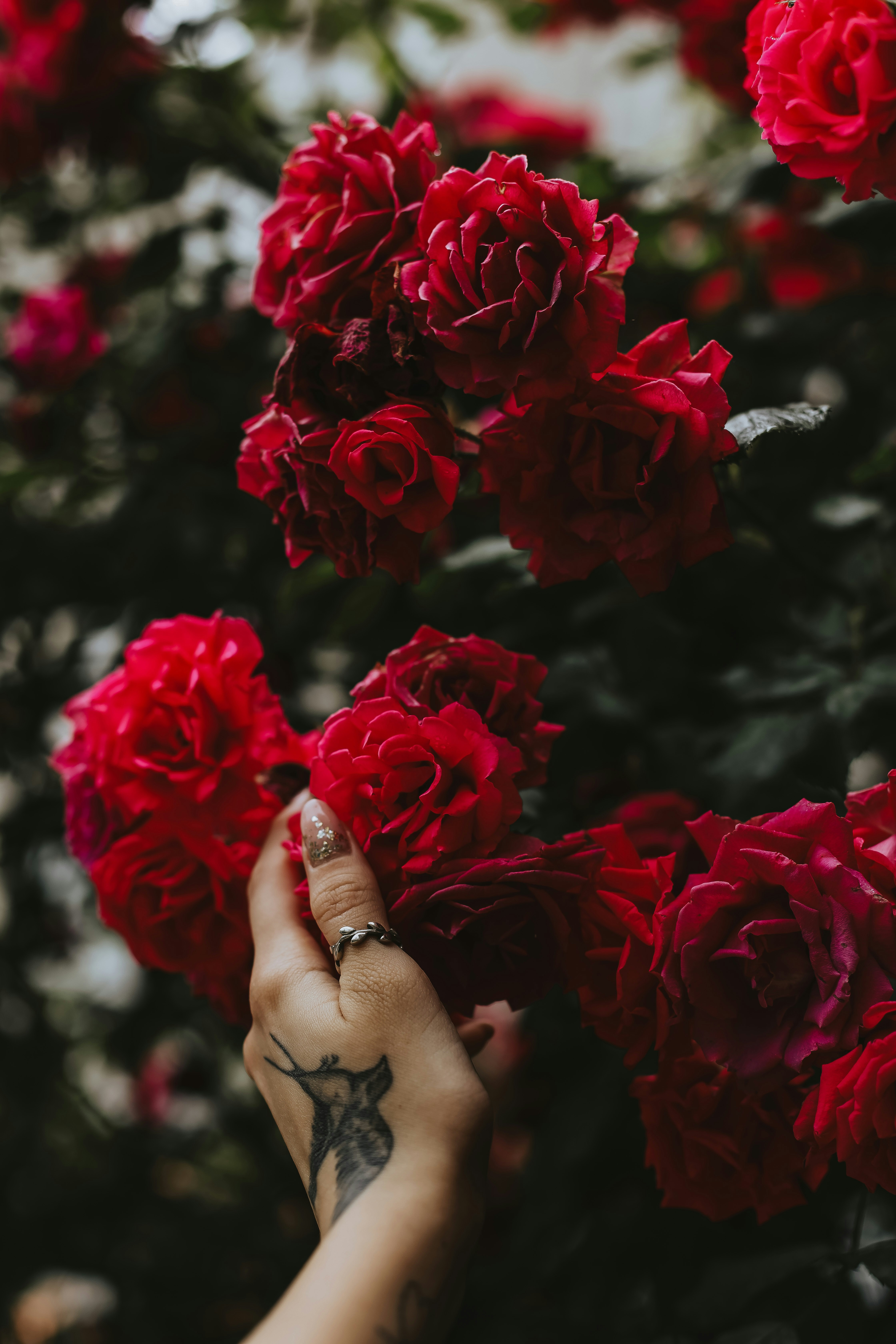 Photo by whynotnatali