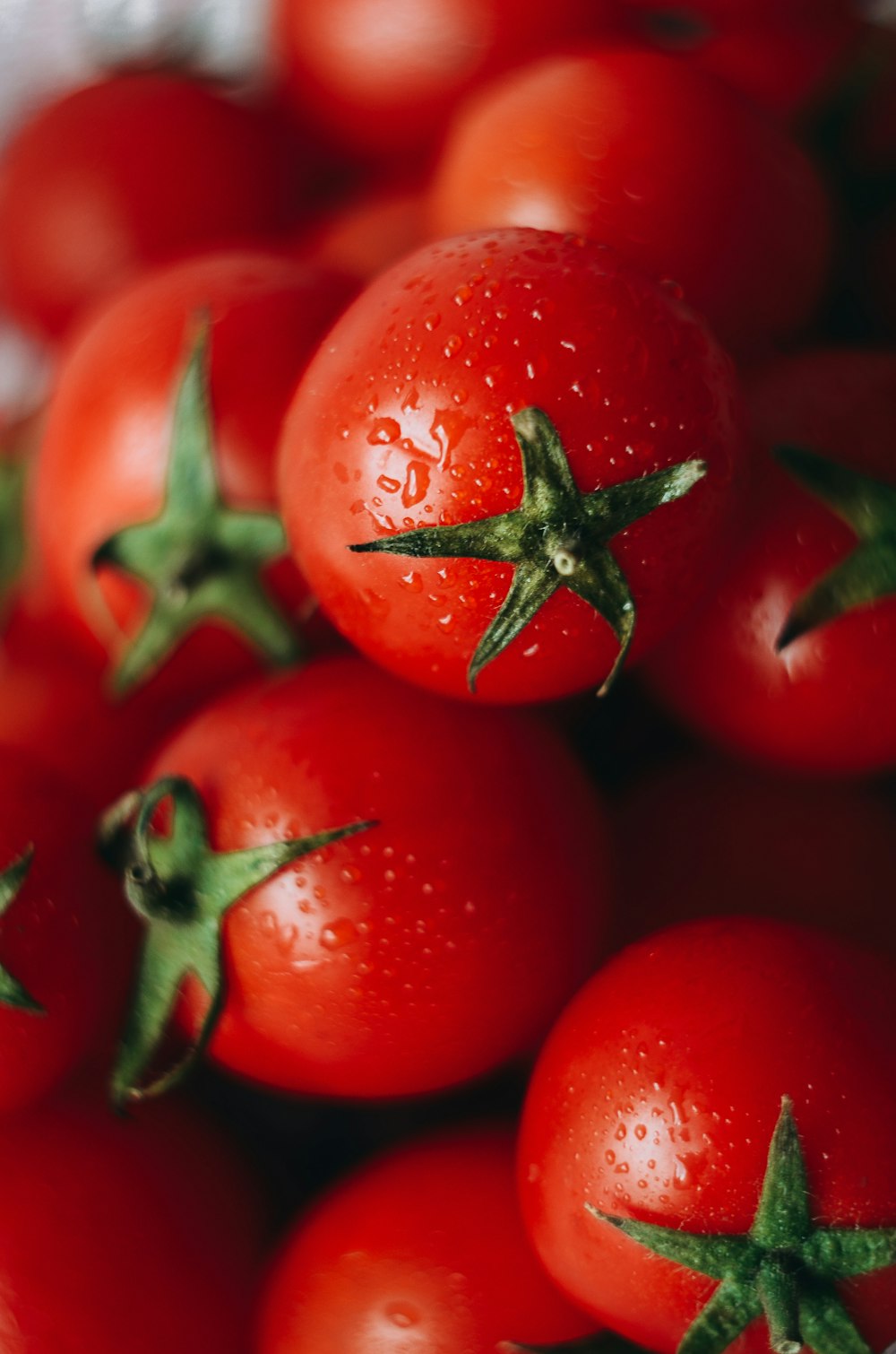 a group of tomatoes