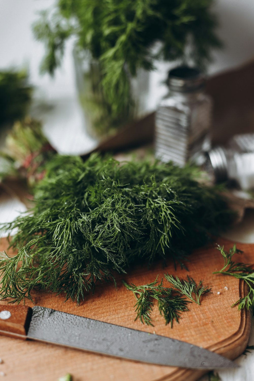 a small plant in a pot