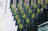 A modern glass building with staggered facades features rows of small green trees integrated into its structure. The reflective surfaces of the building create a dynamic interplay between the trees and the architecture, enhancing both the natural and urban elements.