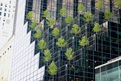 A modern glass building with staggered facades features rows of small green trees integrated into its structure. The reflective surfaces of the building create a dynamic interplay between the trees and the architecture, enhancing both the natural and urban elements.