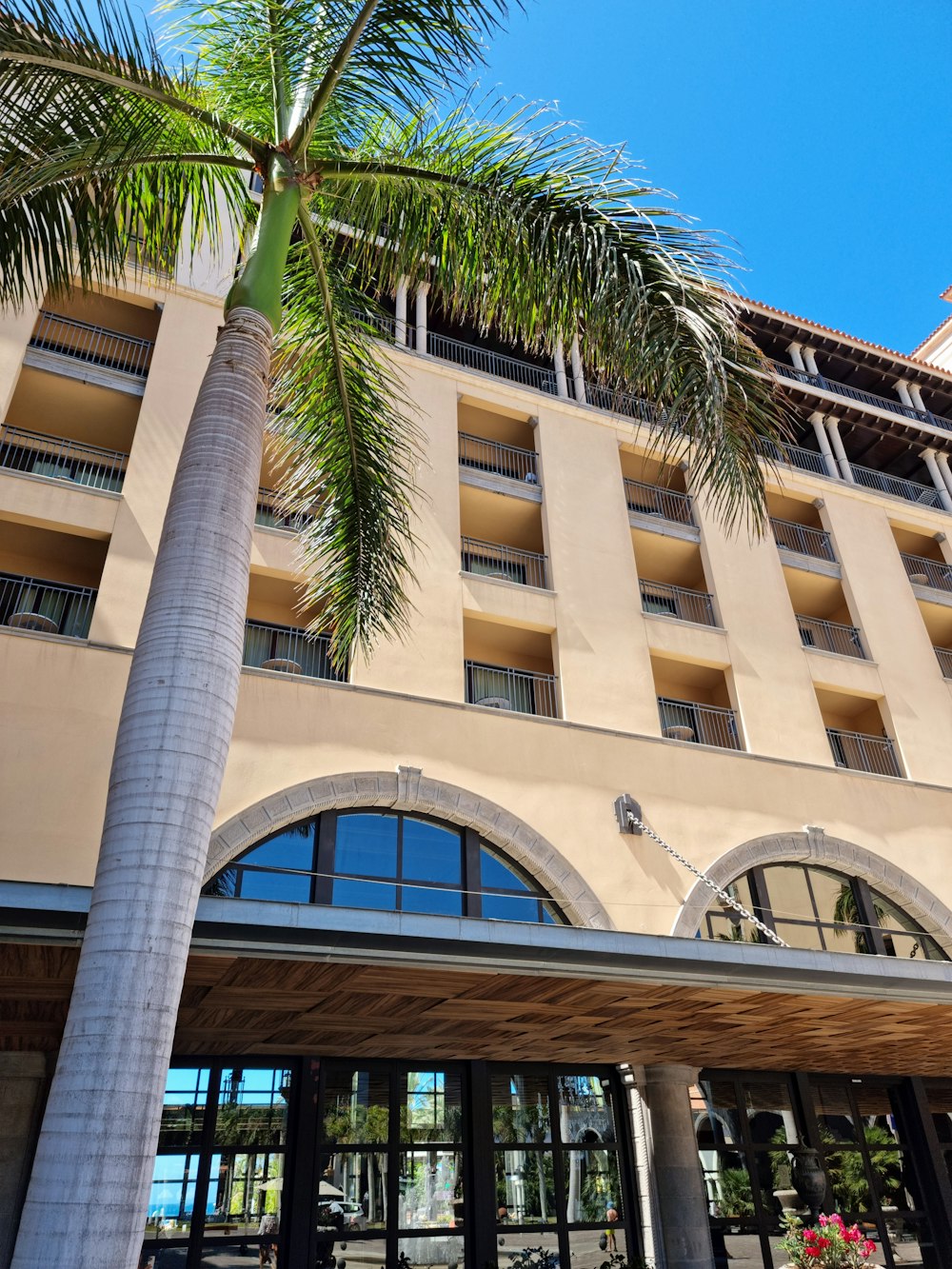 a building with palm trees