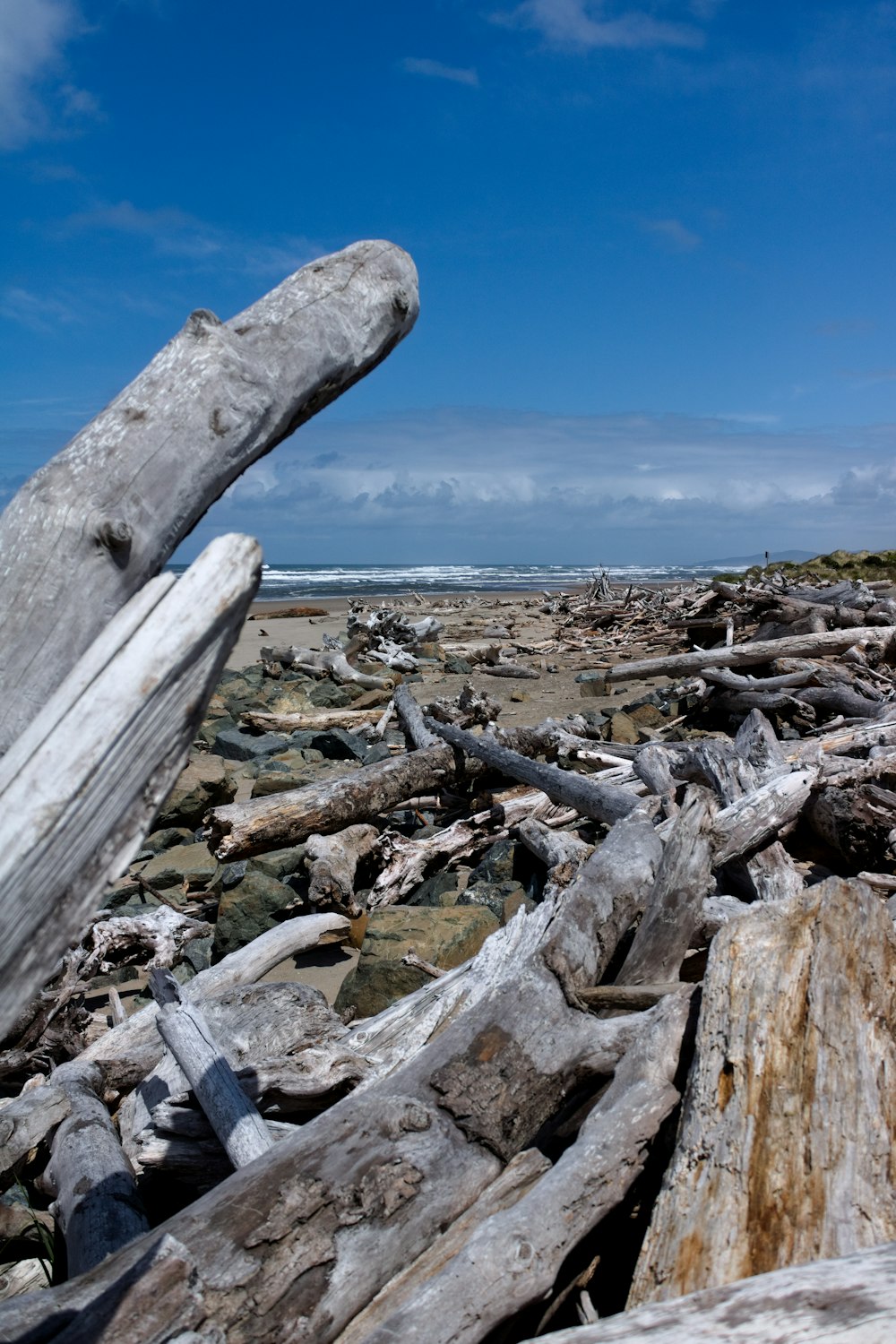 a pile of wood on a beach