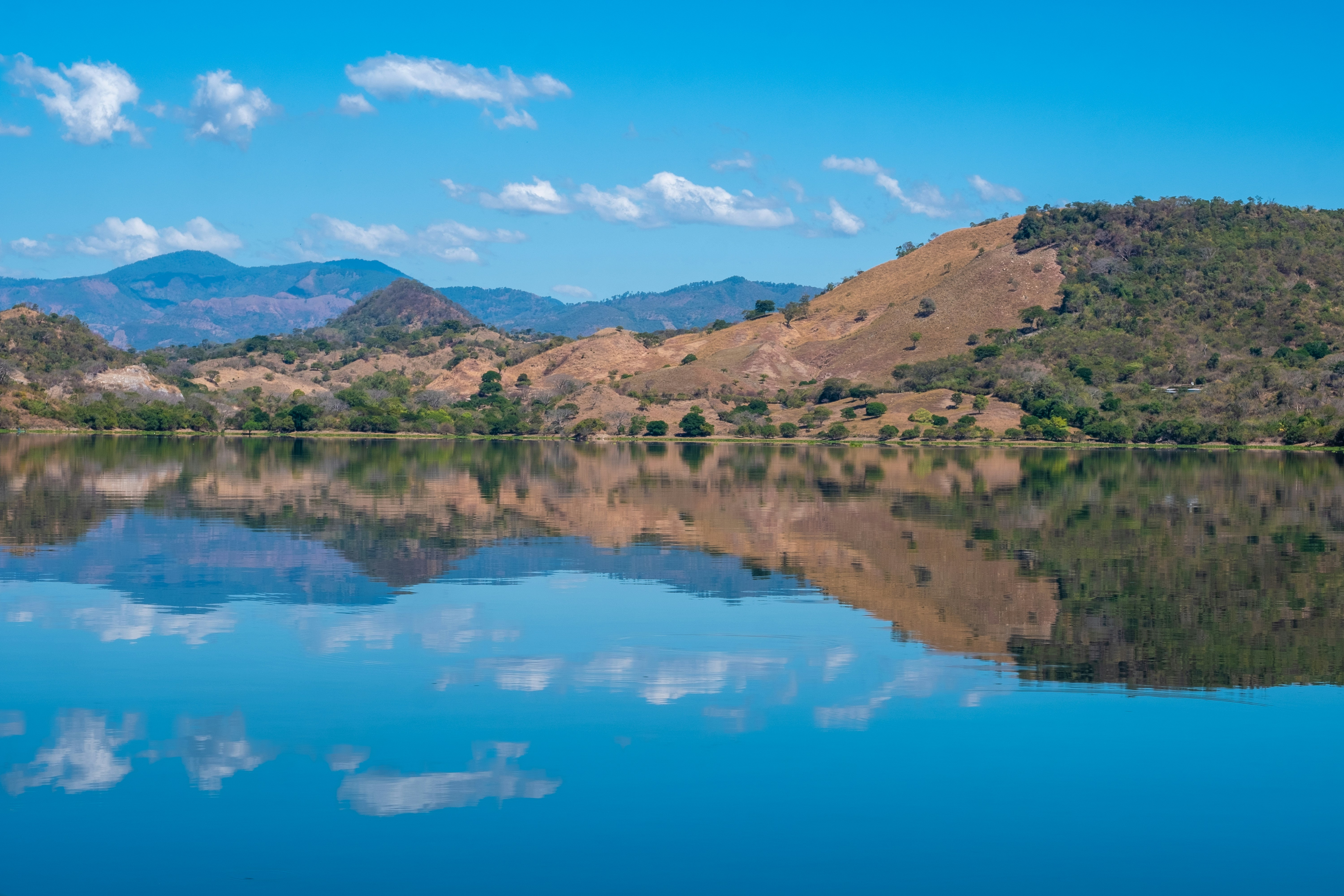 Photo by tmathew0690