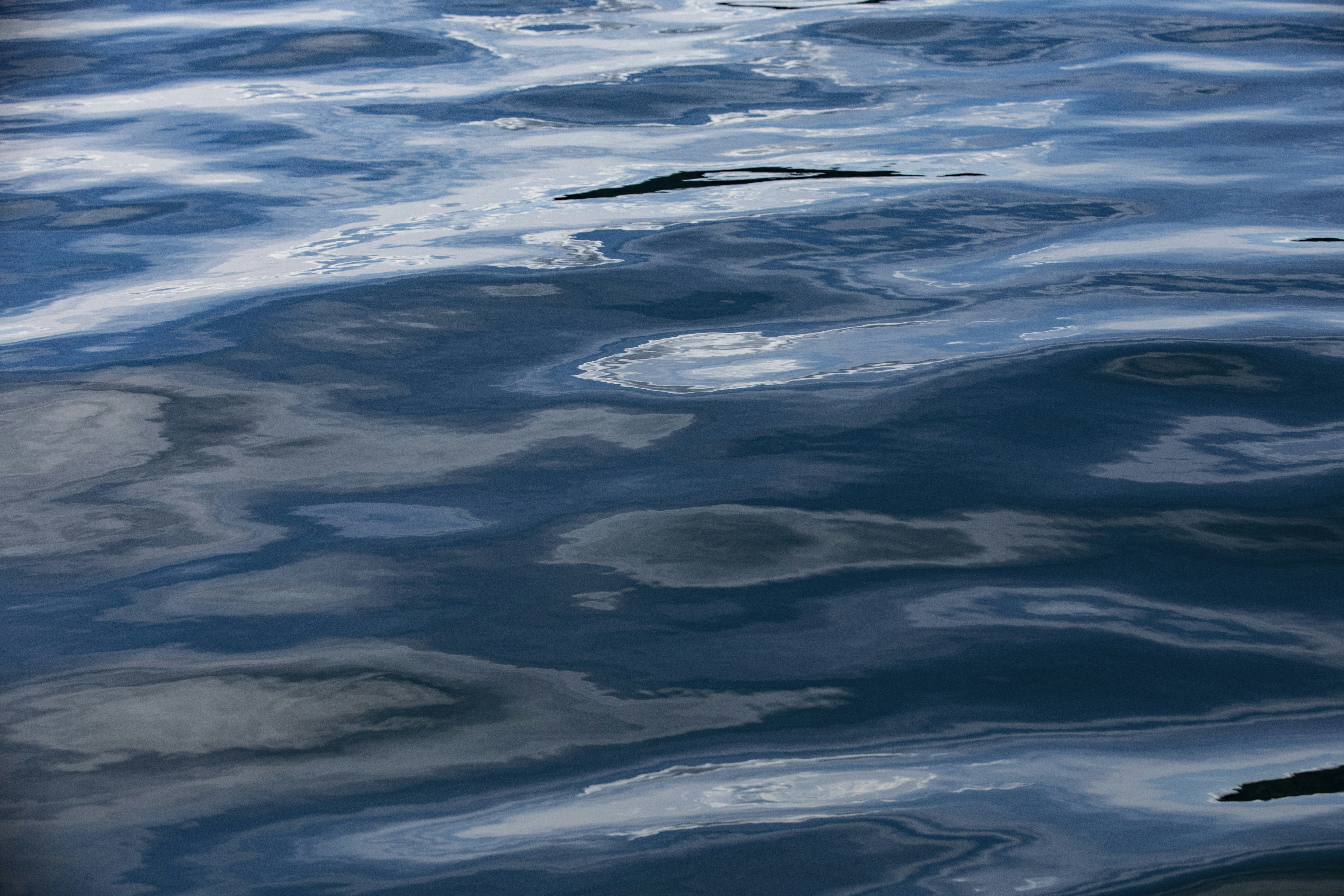 Photo by rocinante_11