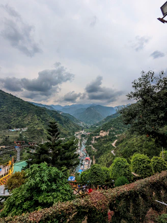 a landscape with trees and hills