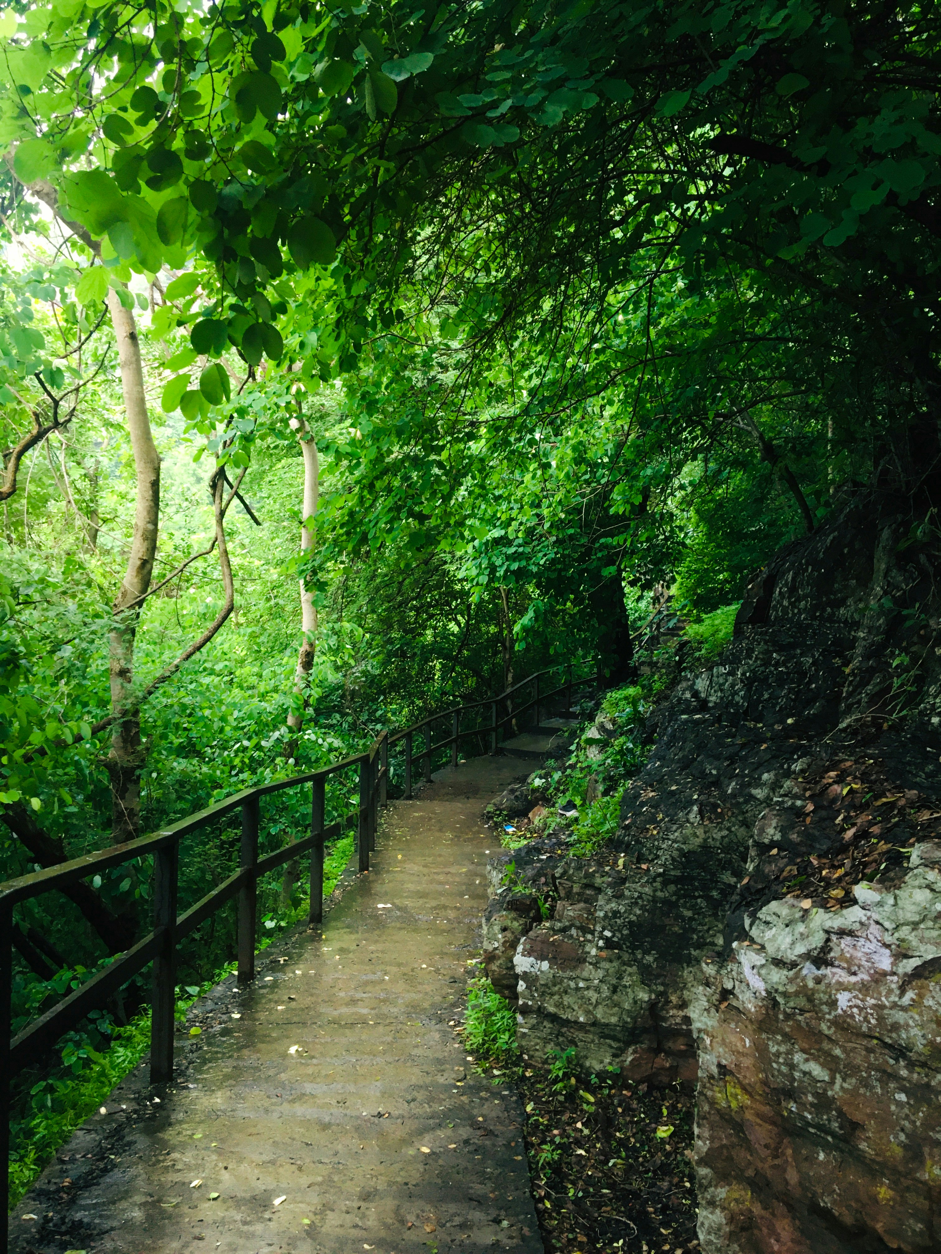 Photo by dev_makwana