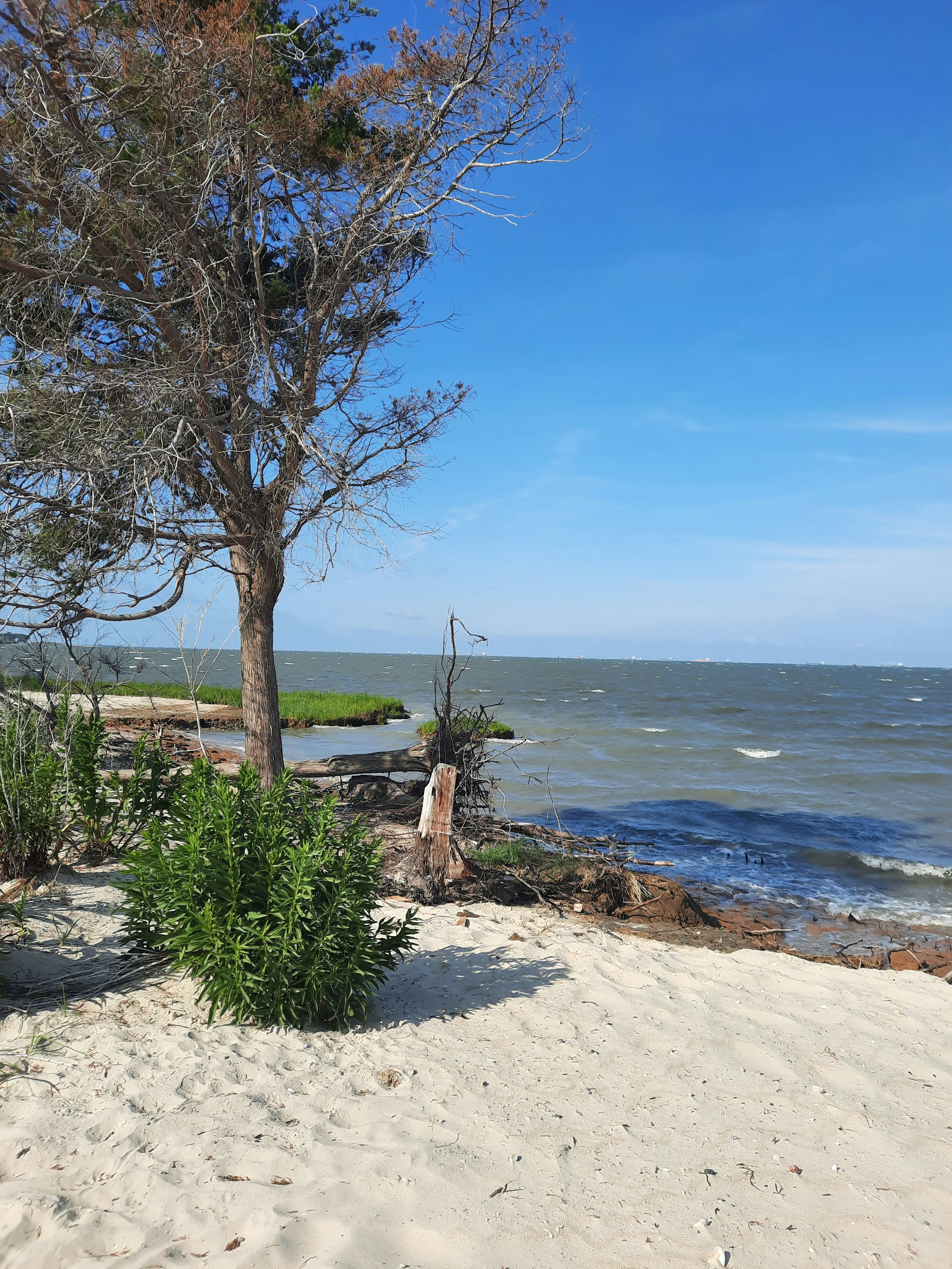 Photo by spydermarketingco