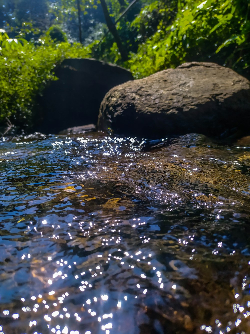 a stream with rocks and trees