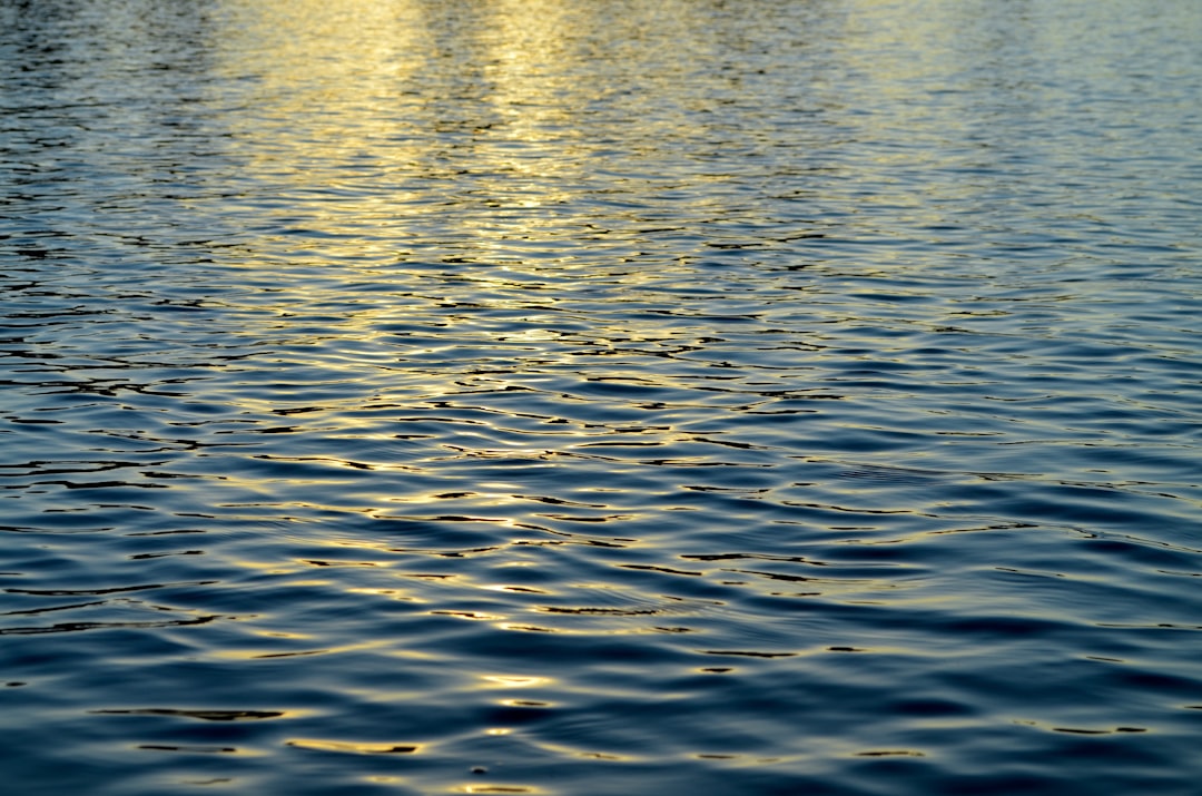 Water glistening at sunset
