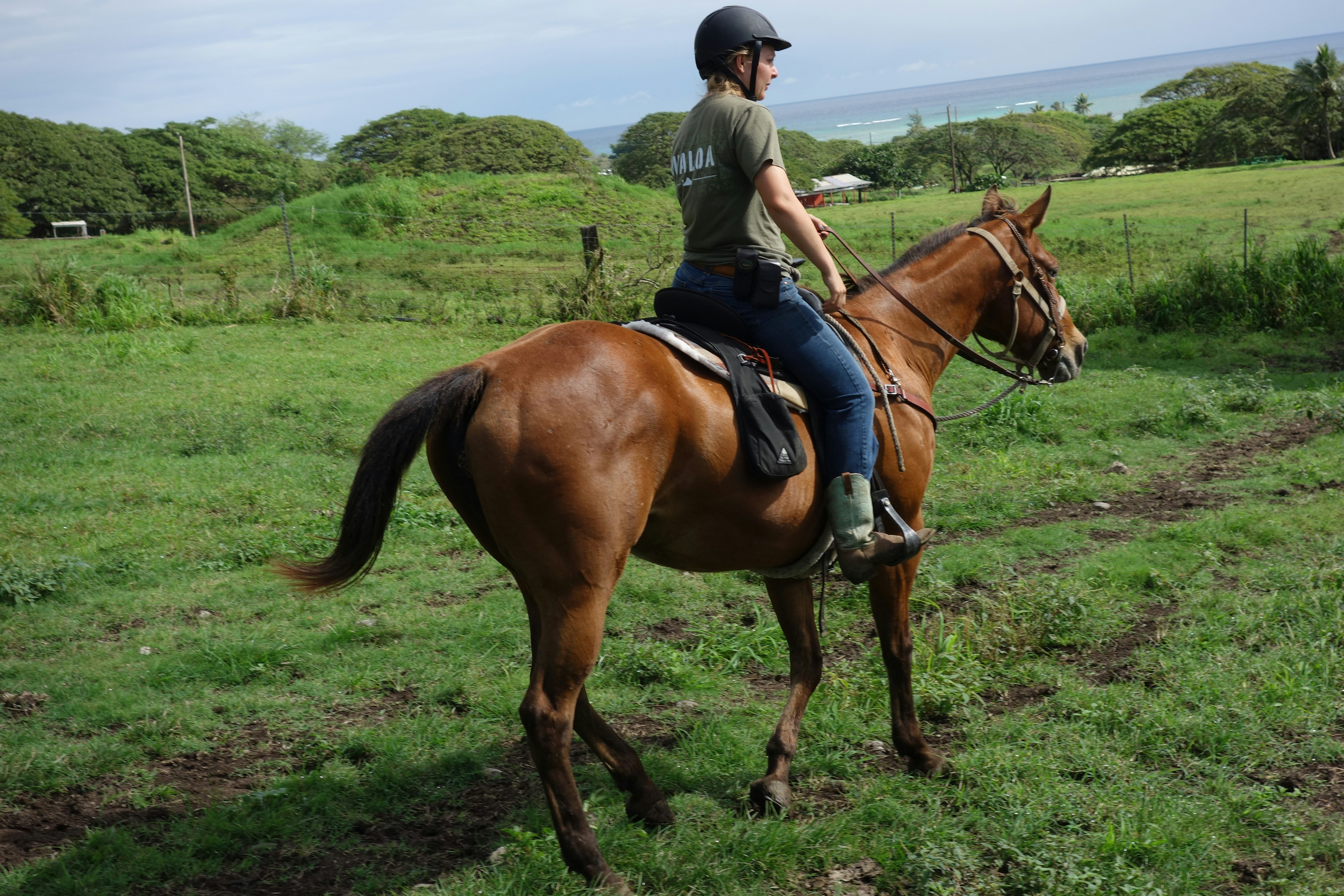a man riding a horse
