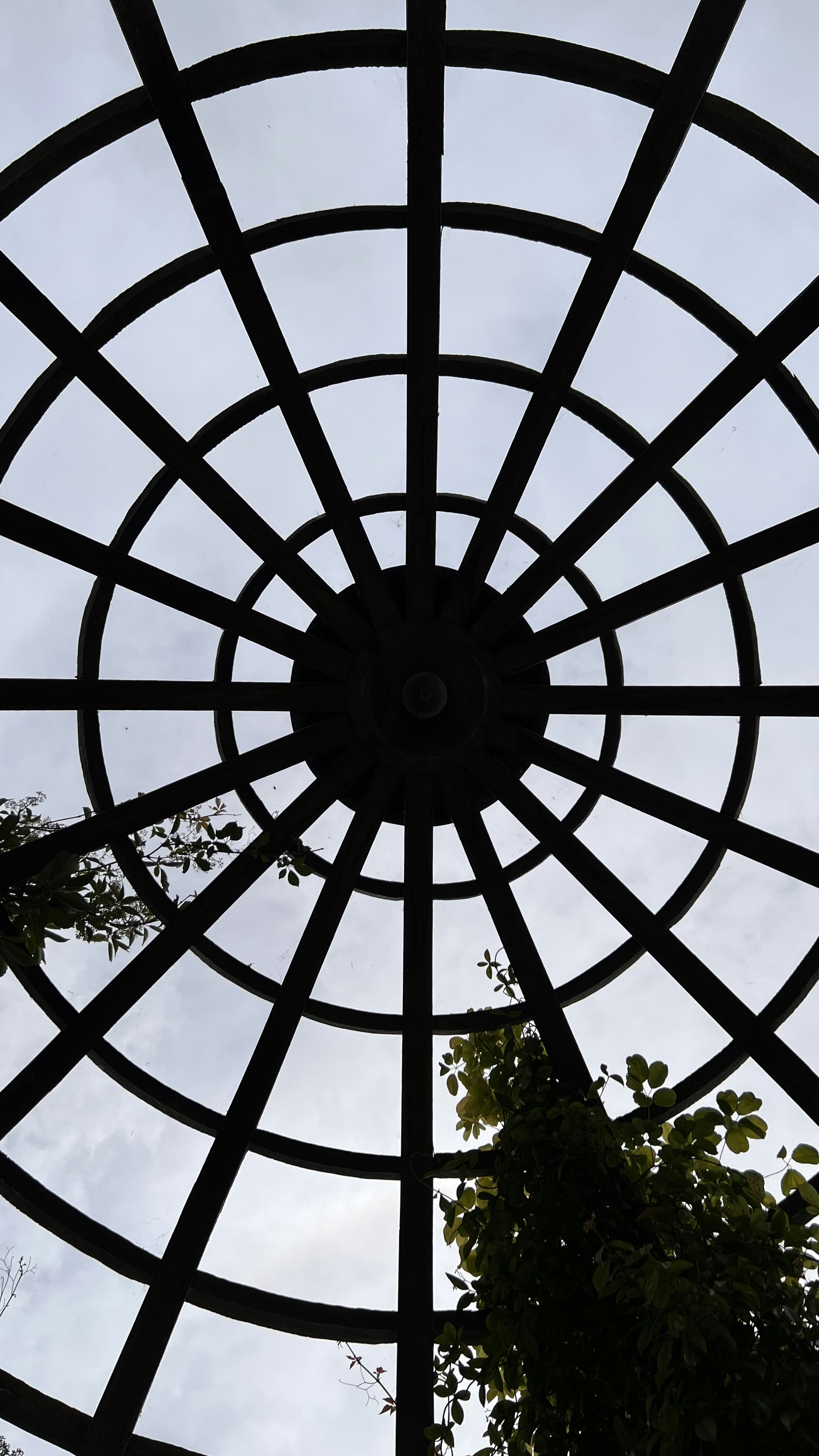 Photo by julianaboolean