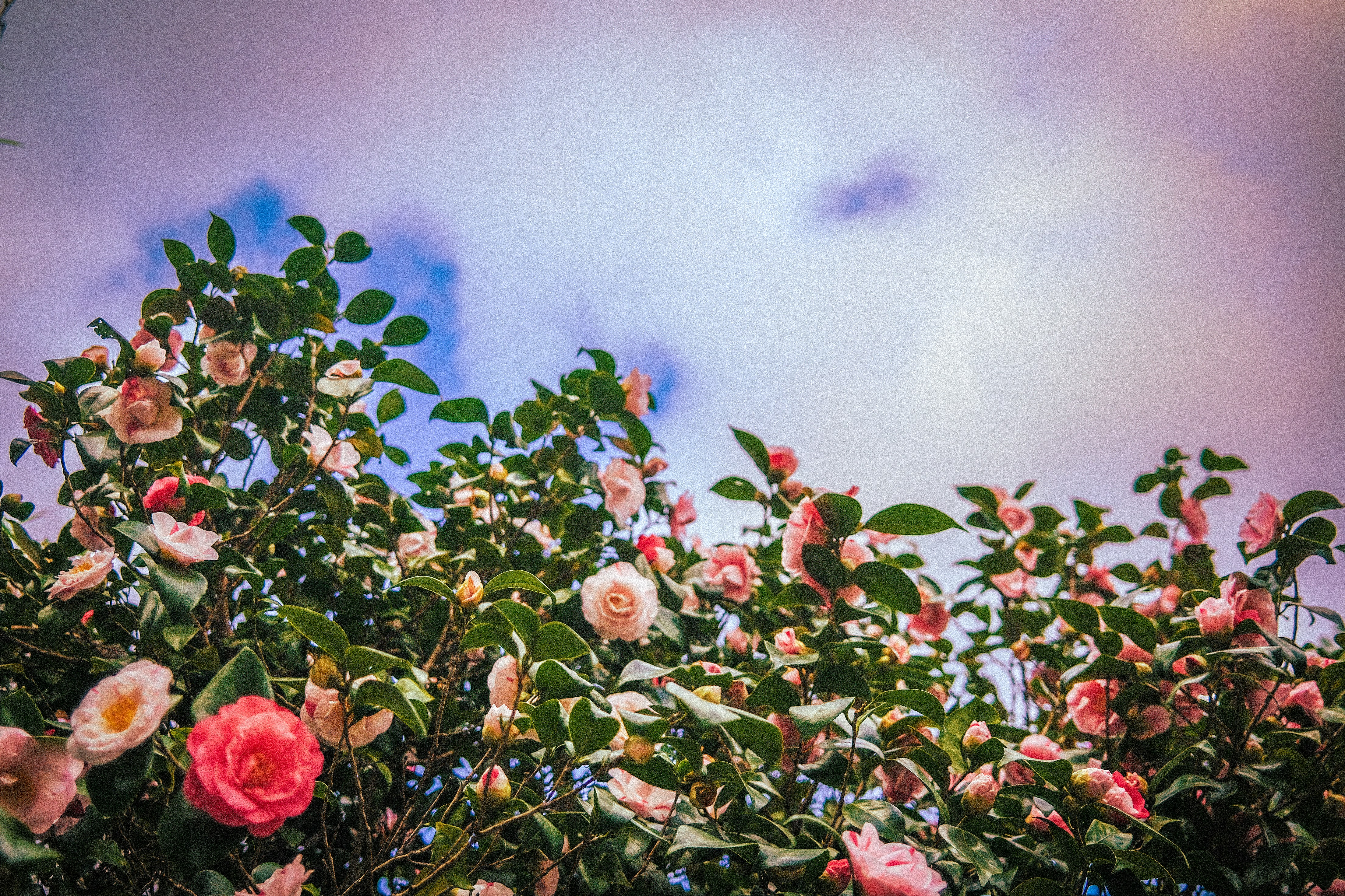 Photo by xxtahaxx