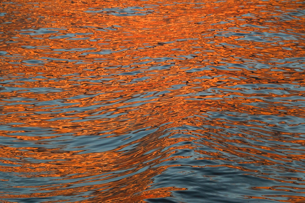 a body of water with orange and red water