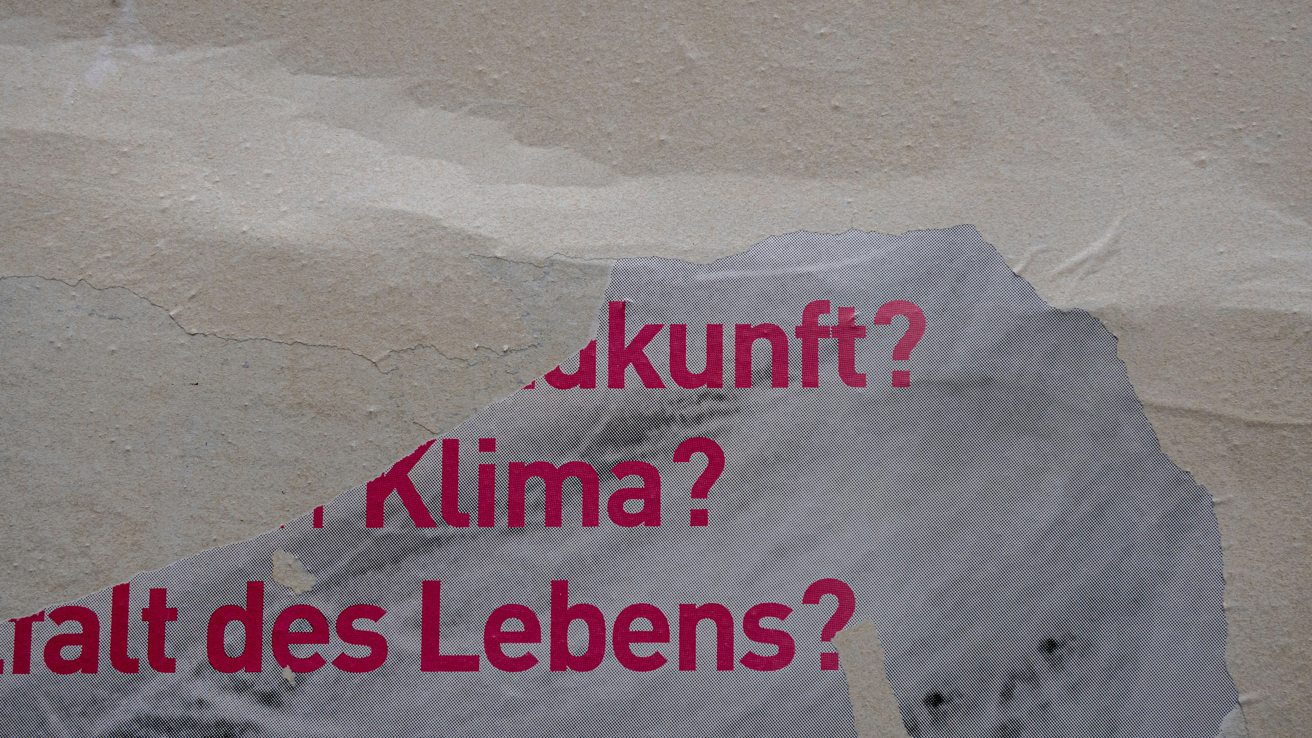text