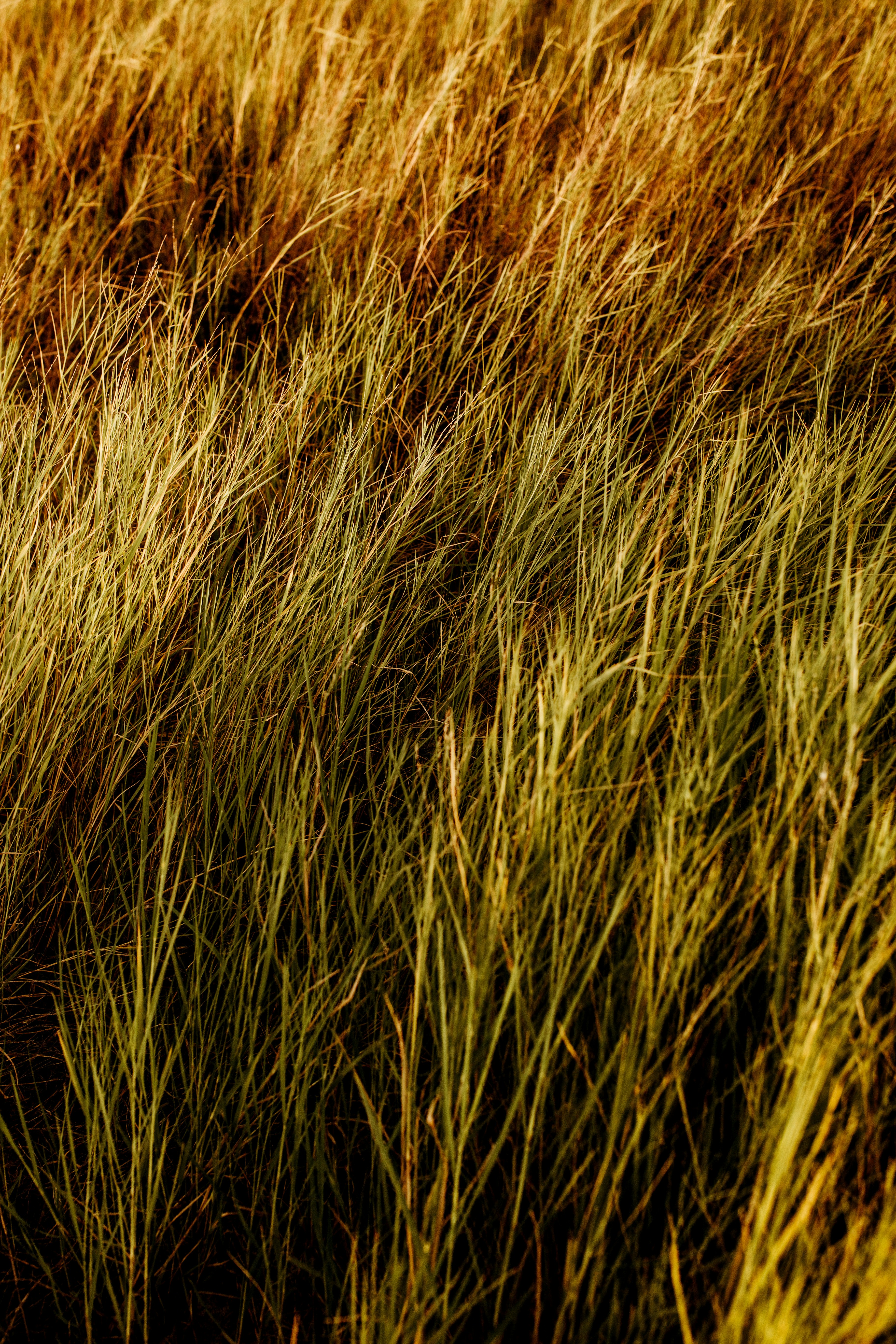 Photo by jonathanborba