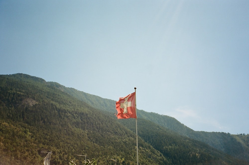 a flag on a pole