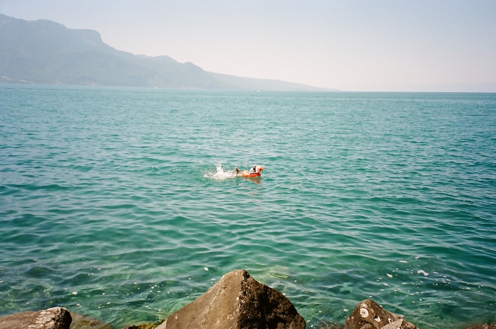 a couple people in a boat in the water