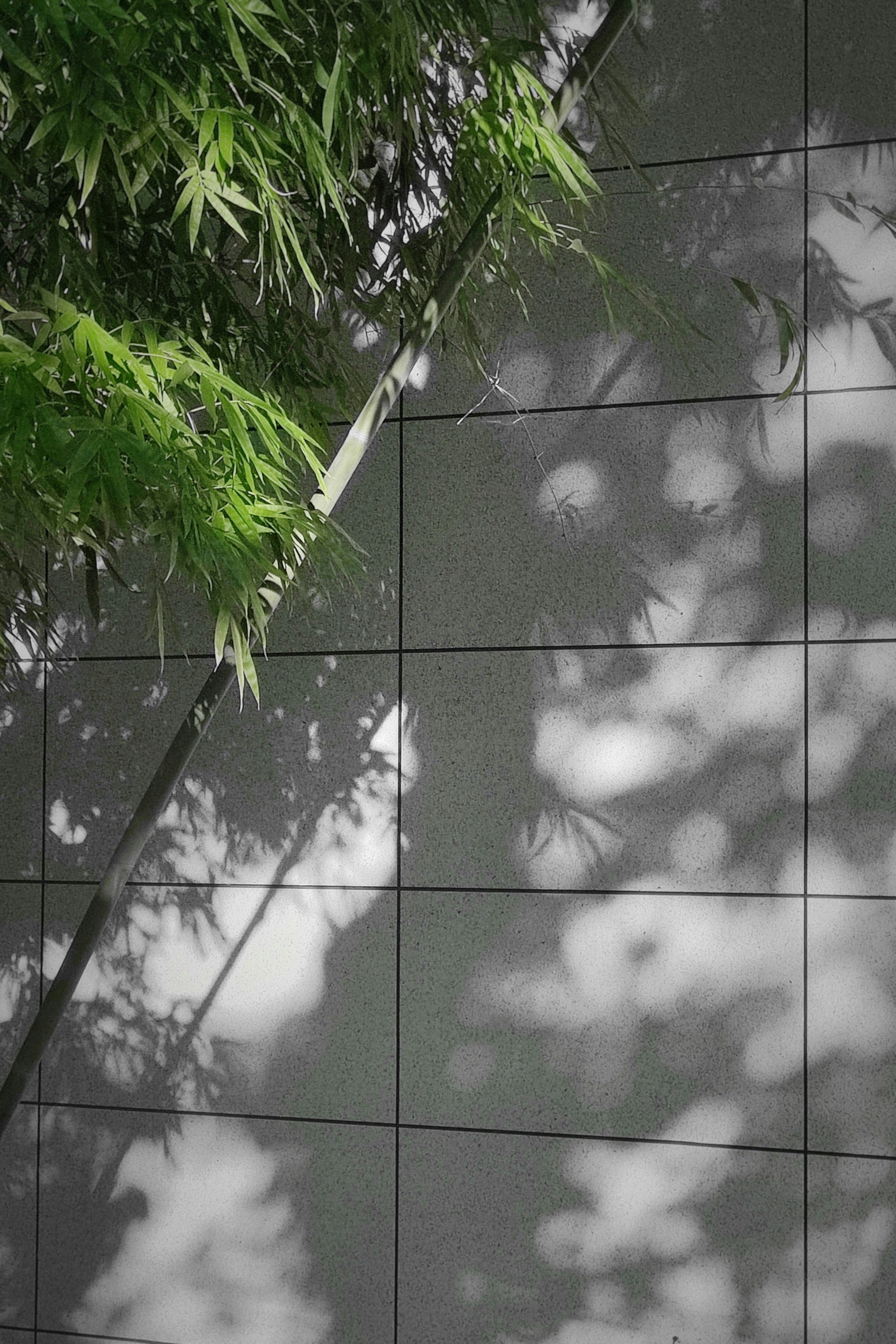 Photo by liuwen5656554