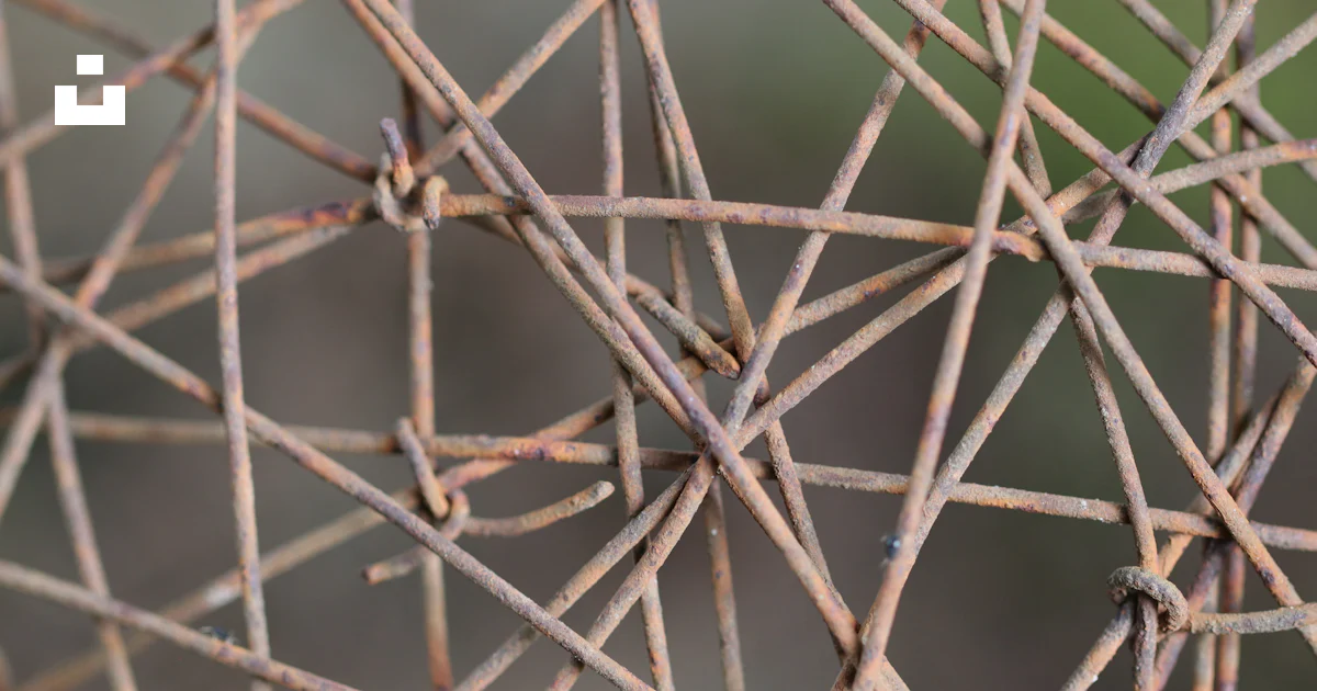 A close up of a spider photo – Free Rust Image on Unsplash