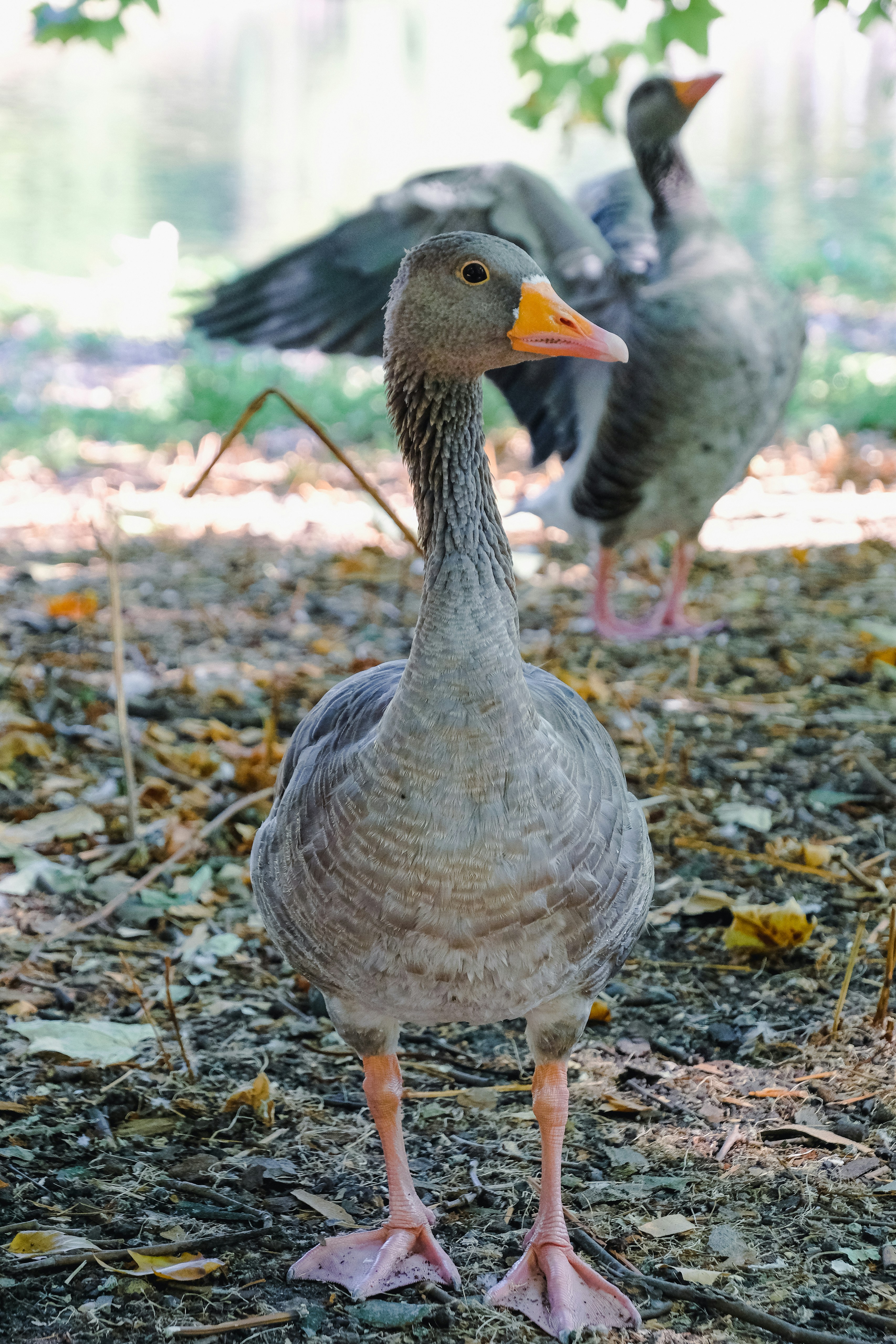 Photo by mfilipcikova