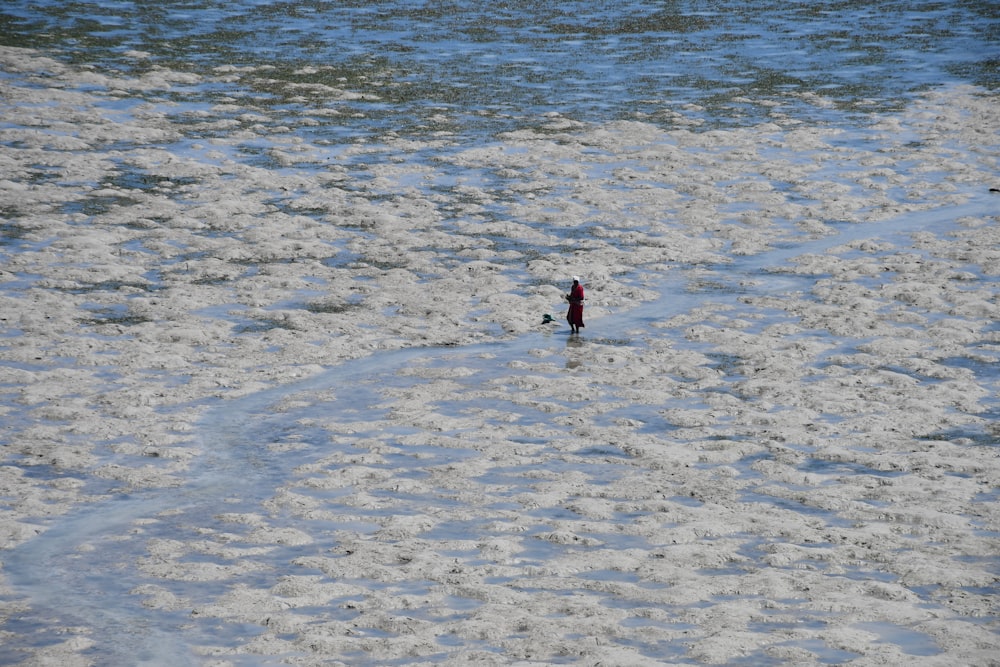 a person standing in the water