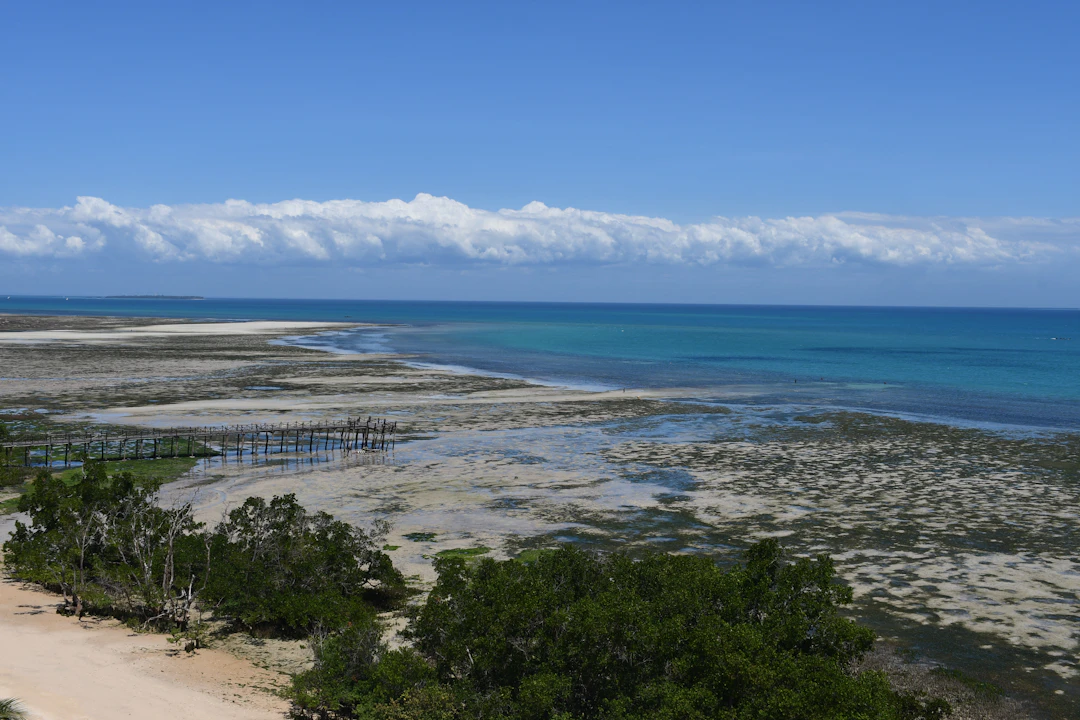 Luxury 6-Day Zanzibar City Itinerary: Stone Town & Beyond