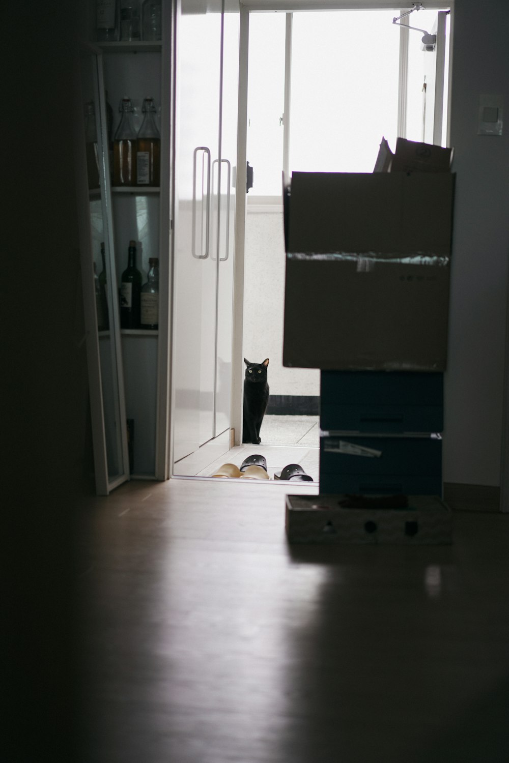 a cat sitting in a doorway