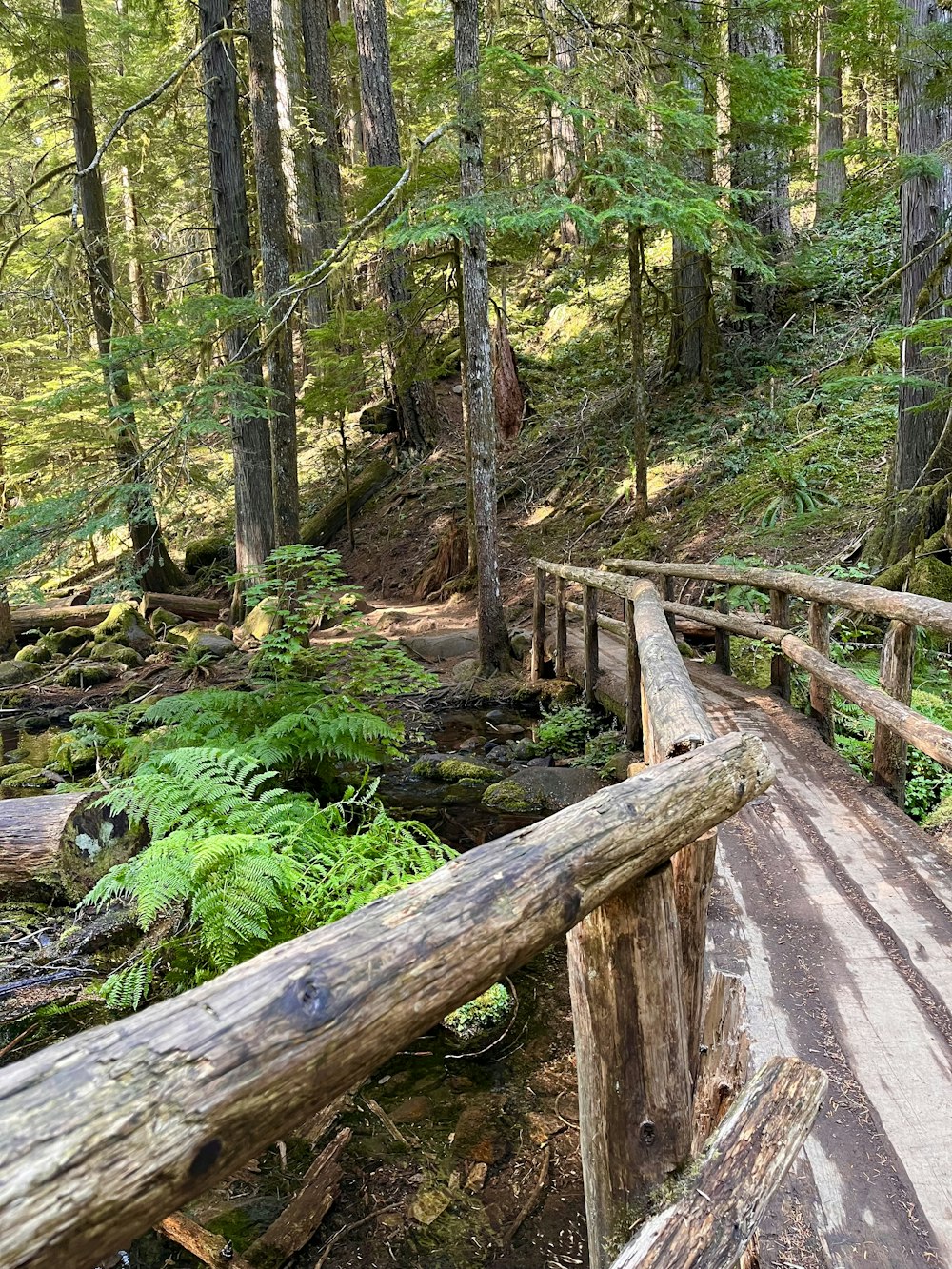 a wooden bridge in the woods