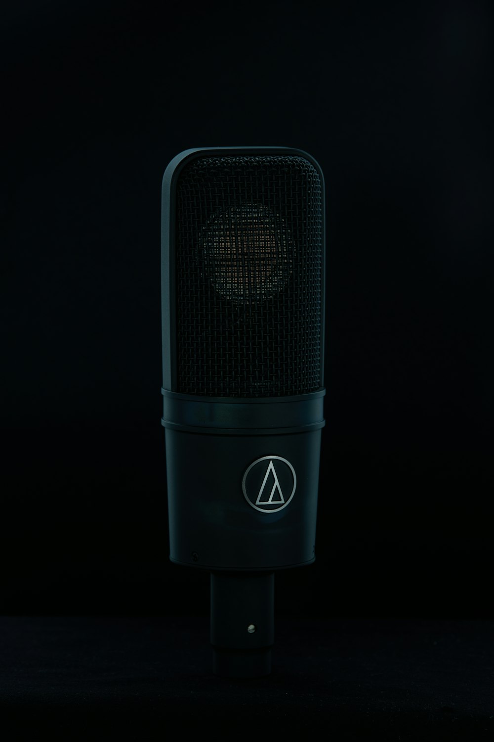 a black and silver microphone