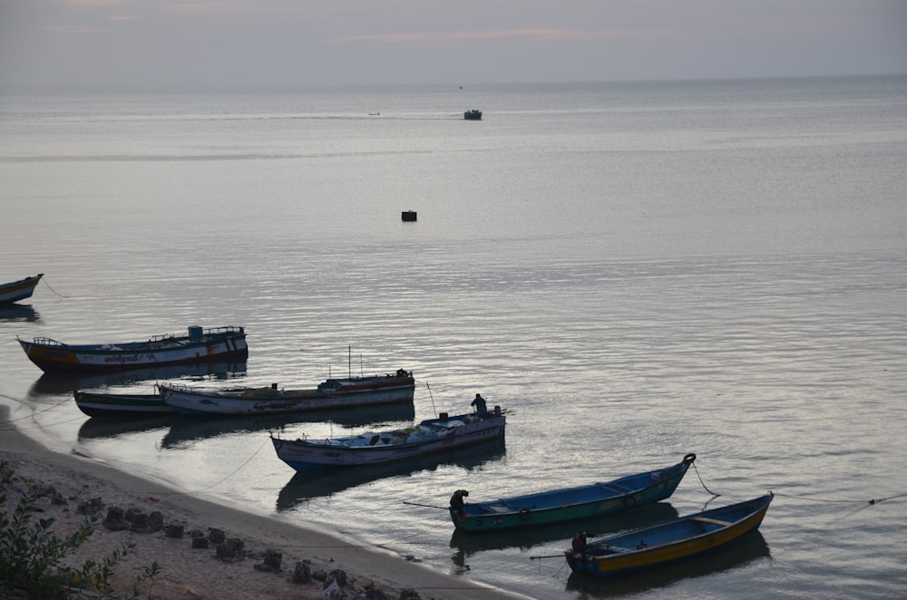 boats in the water