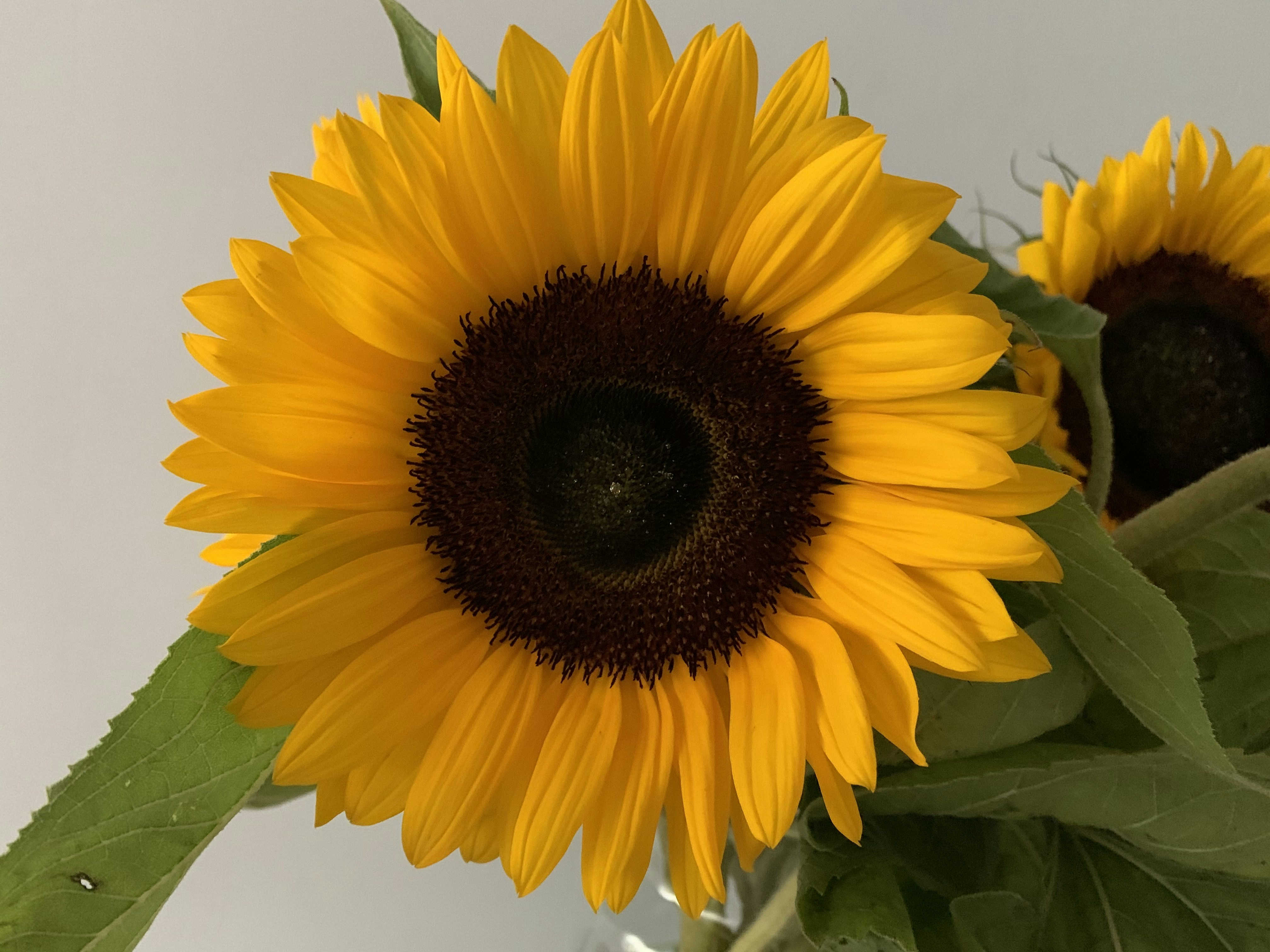 Photo by photosfromhome